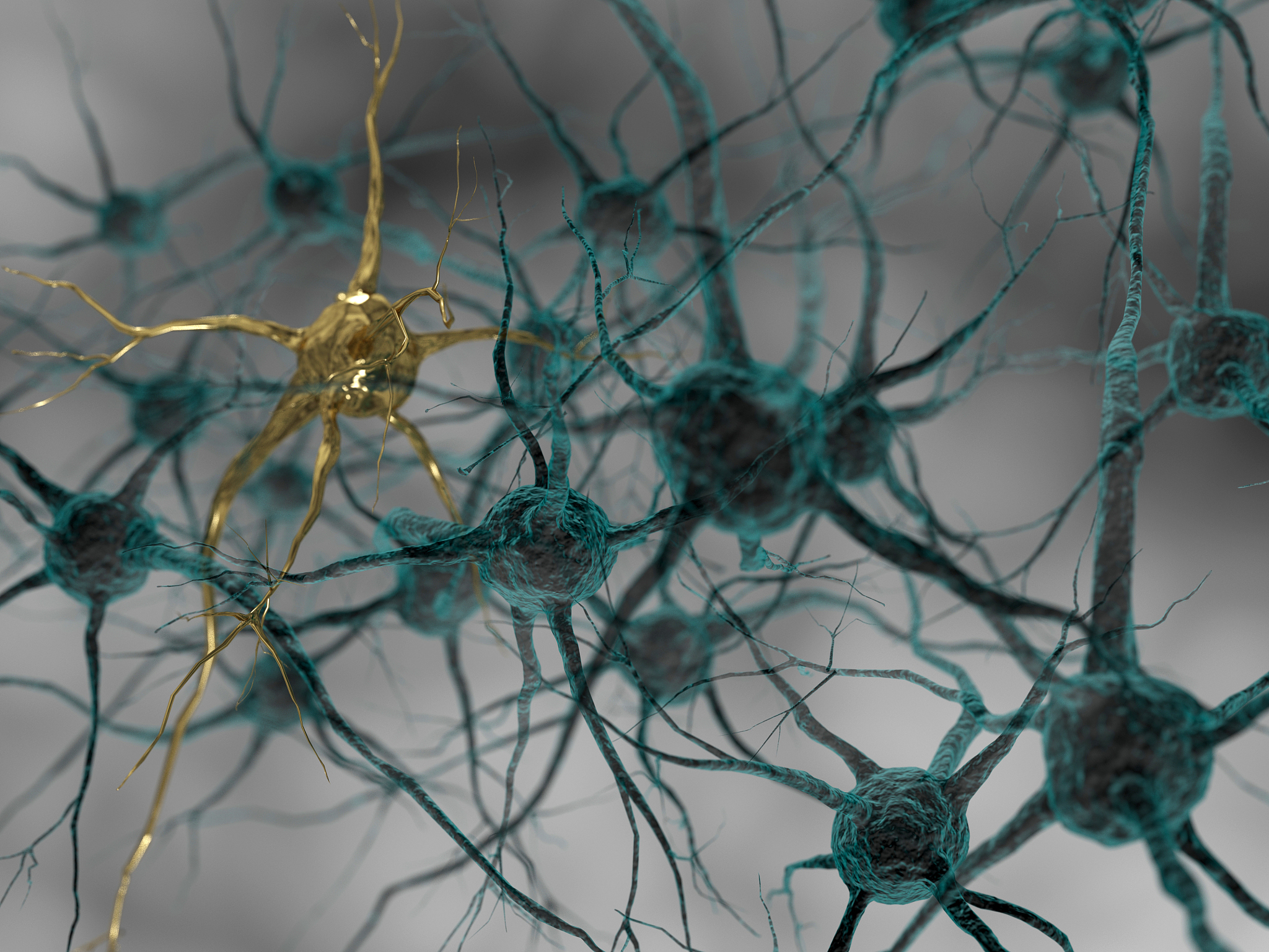 细胞通讯：细胞间信息传递的关键机制