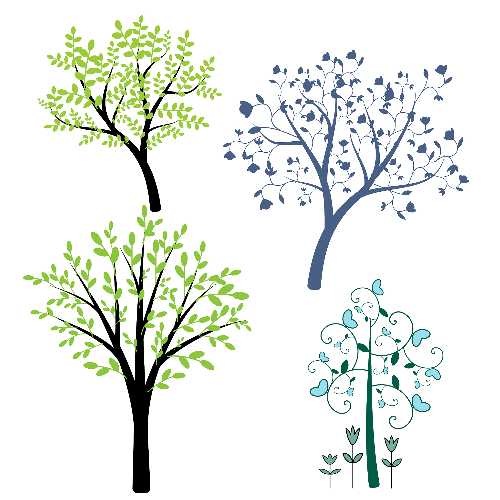 树的生长：与花的开放相对比