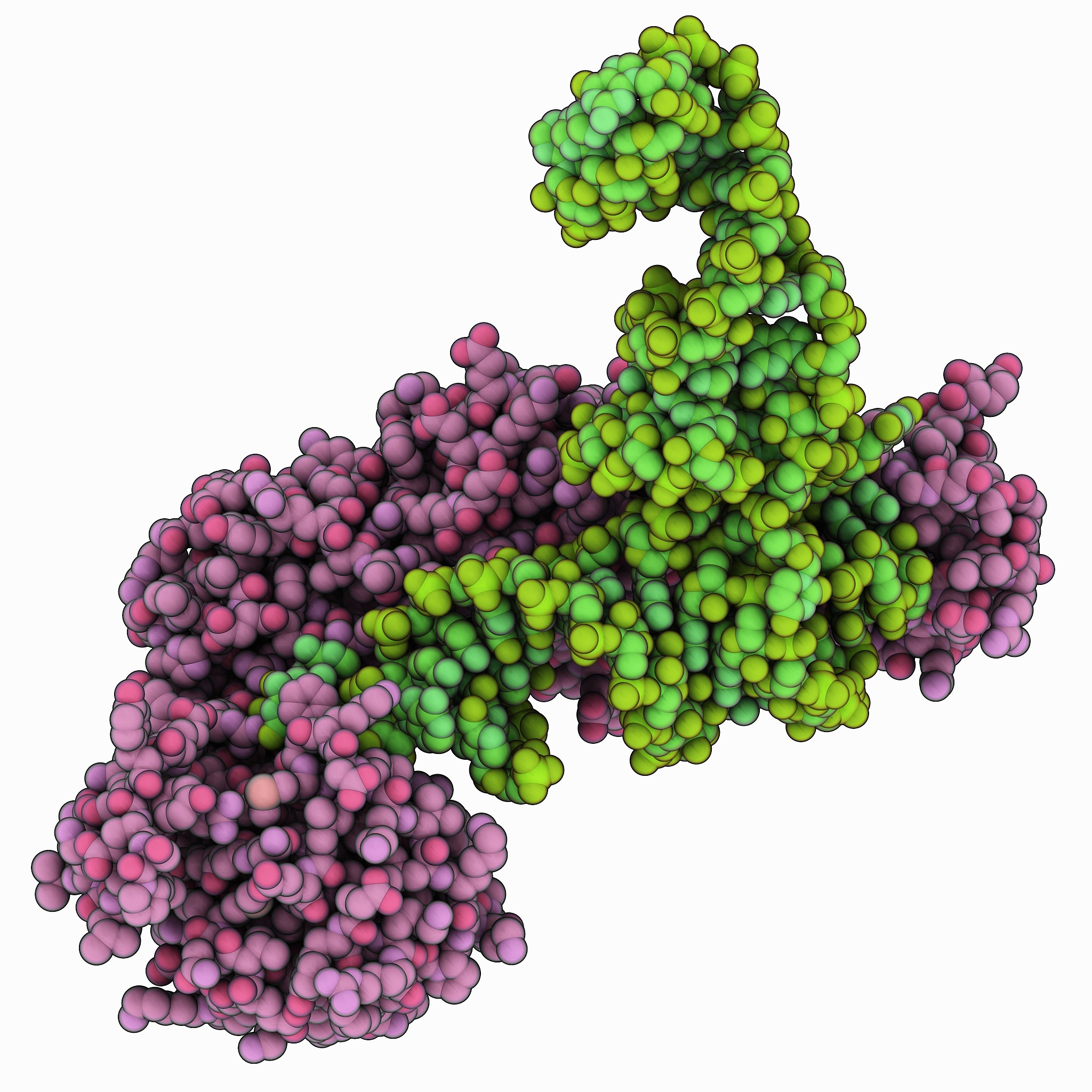 天然酶有什么优缺点
