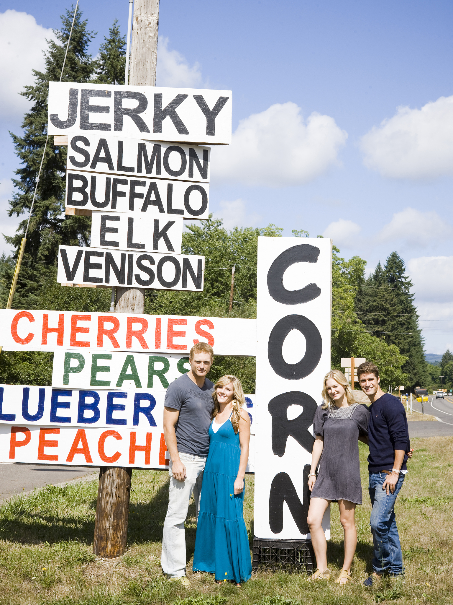 帮我写一个情侣 露营的剧情短视频脚本