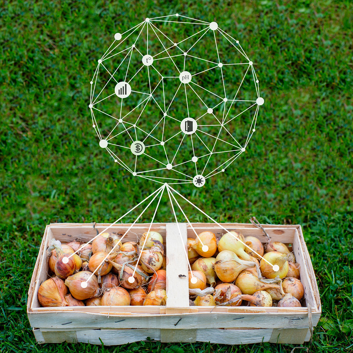 吉林大学农学专业怎么样