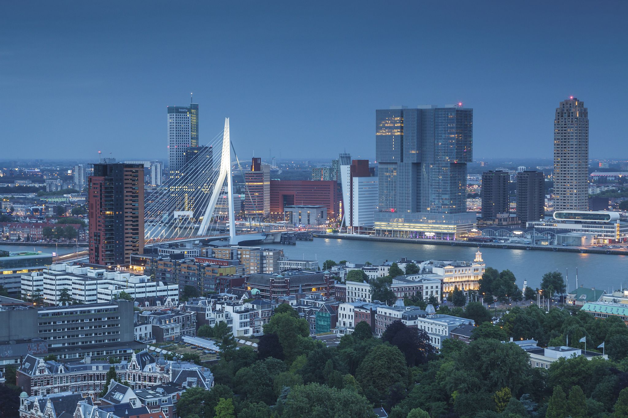 the skyline of rotterdam in the netherlands.