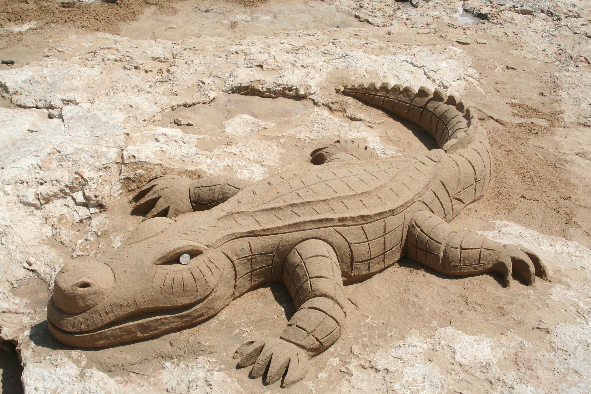 crocodile created in sand