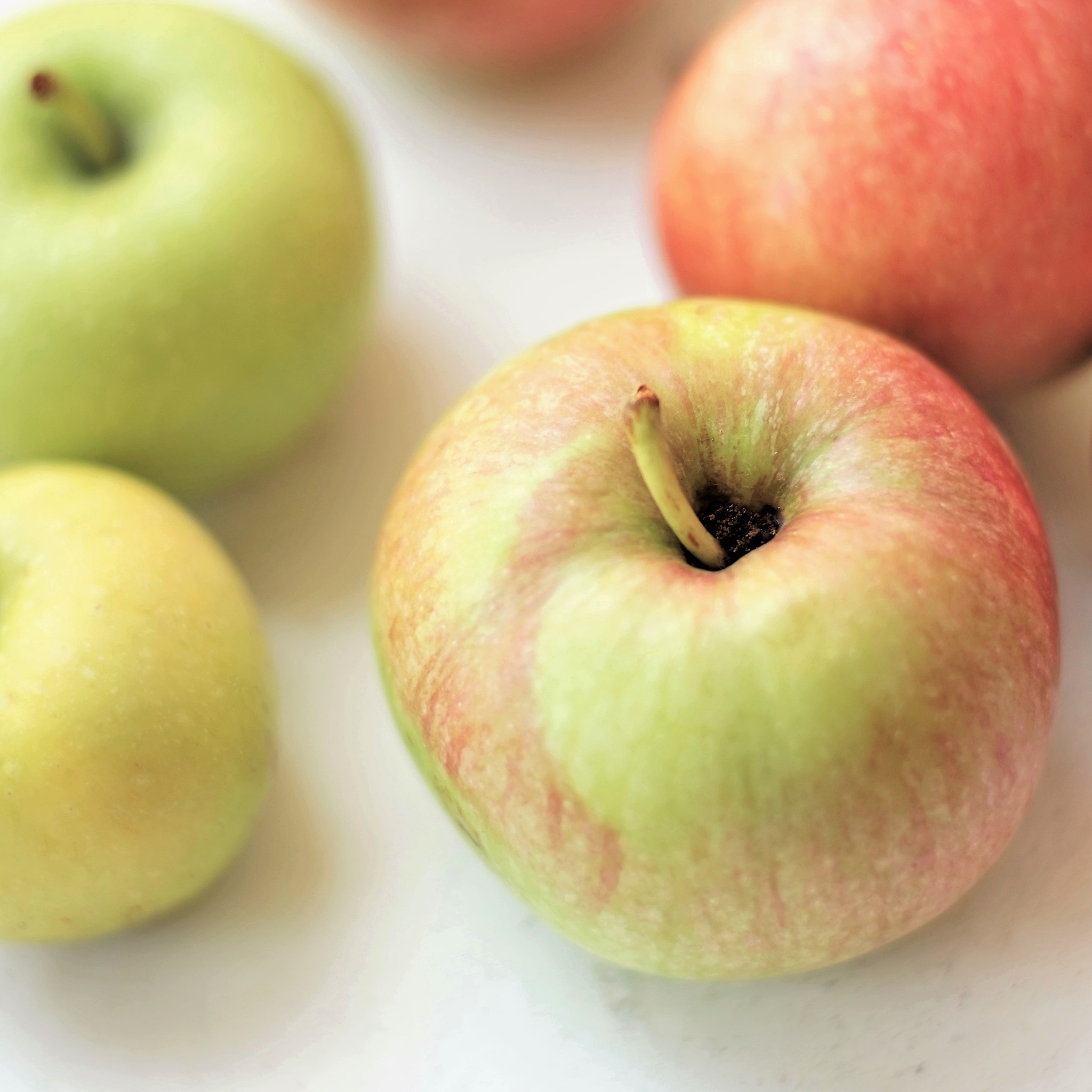 都昌中等专业学校2021年招生专业：农业机械化与自动化技术等