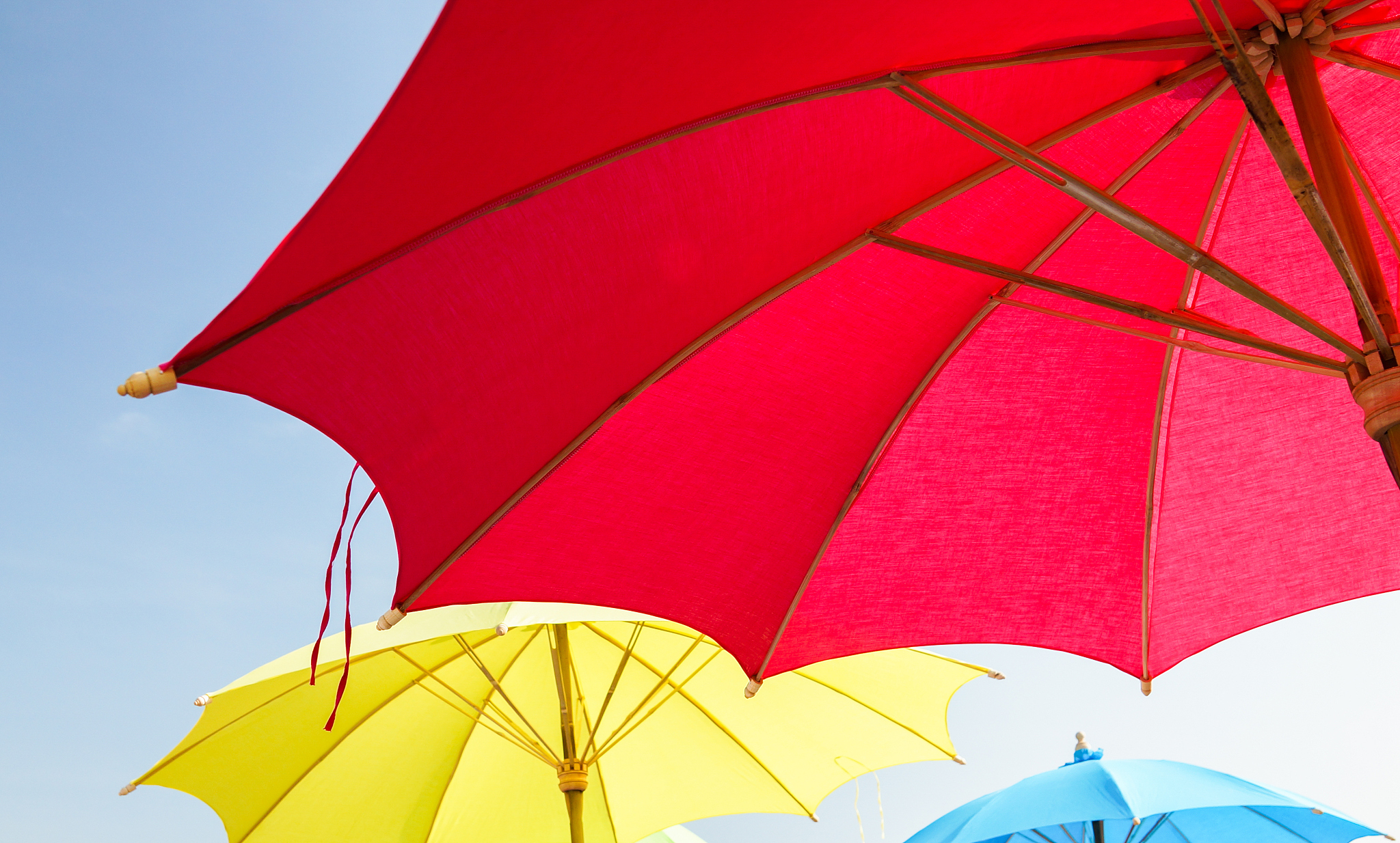 colorful umbrella