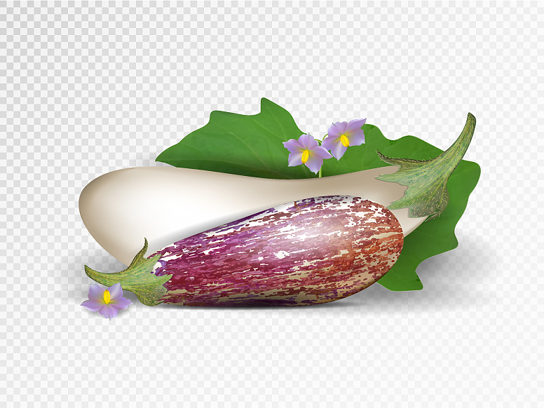 漳州职业技术学院食品生物技术专业就业前景分析