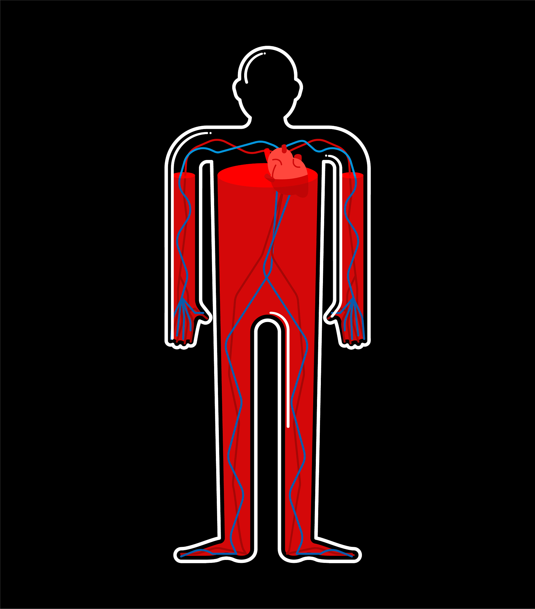 曲靖兽医学校2019年中考五年一贯制普通专科特色招生专业