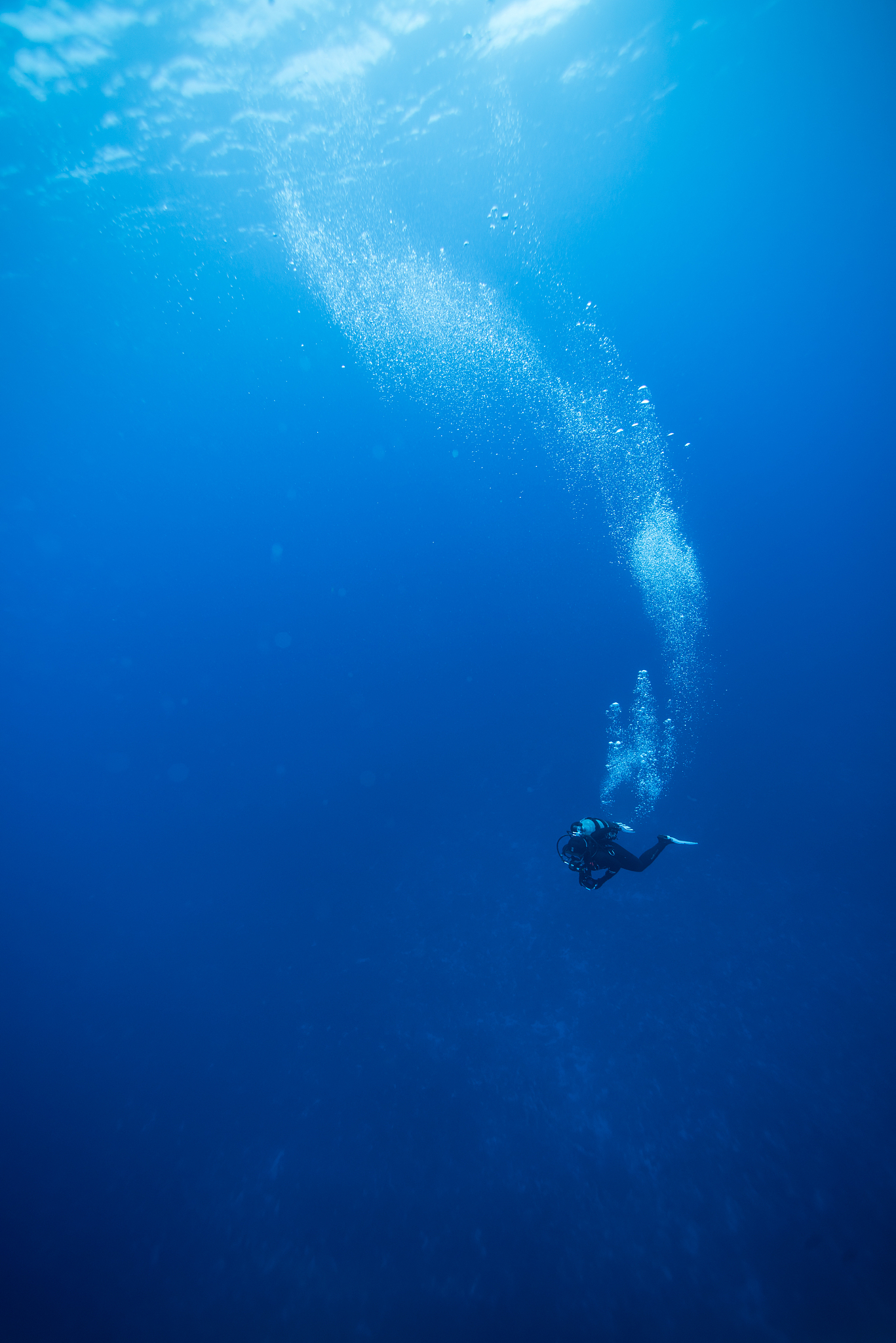 underwater world