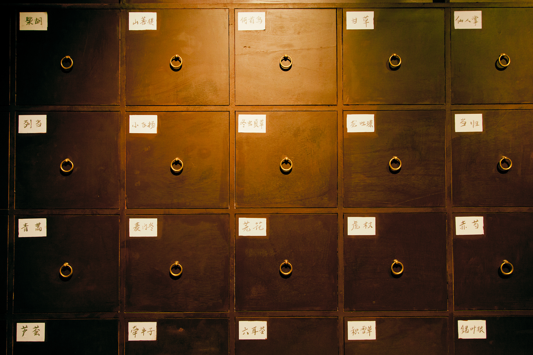 天津中医药大学临床药学专业怎么样