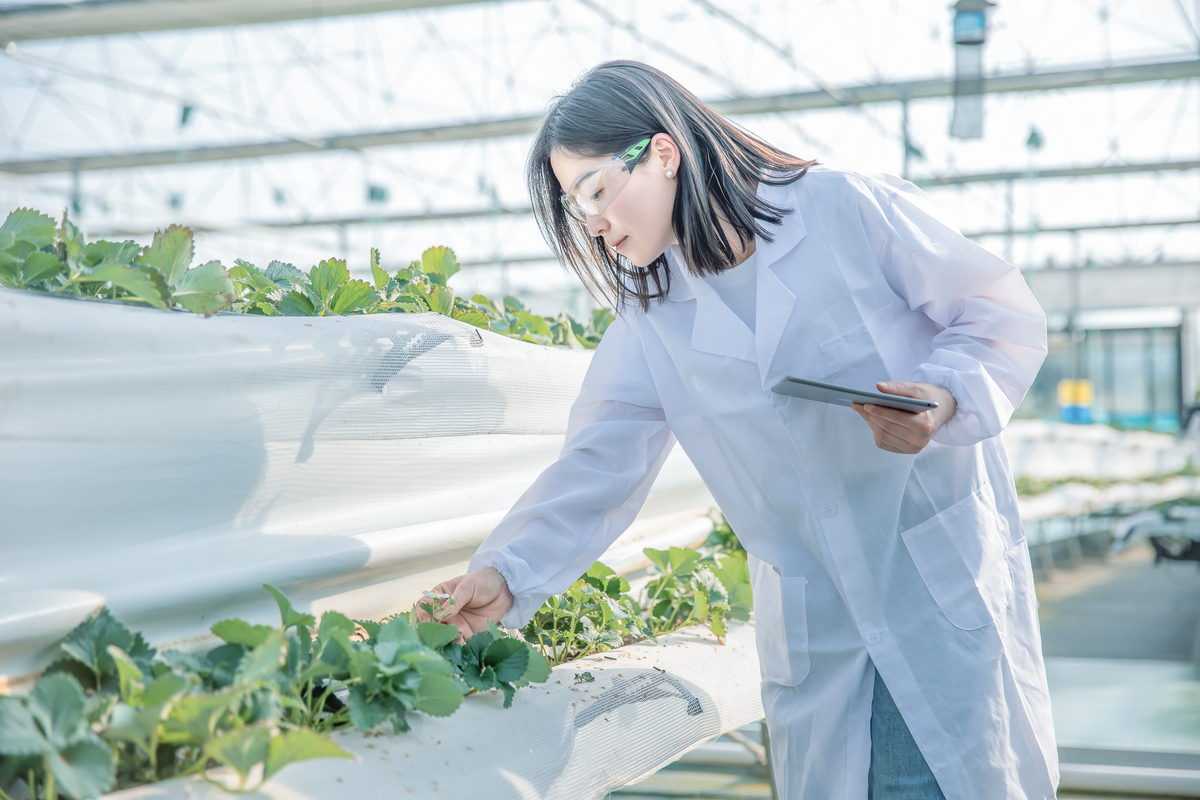 福建农业职业技术学院有药剂专业吗？