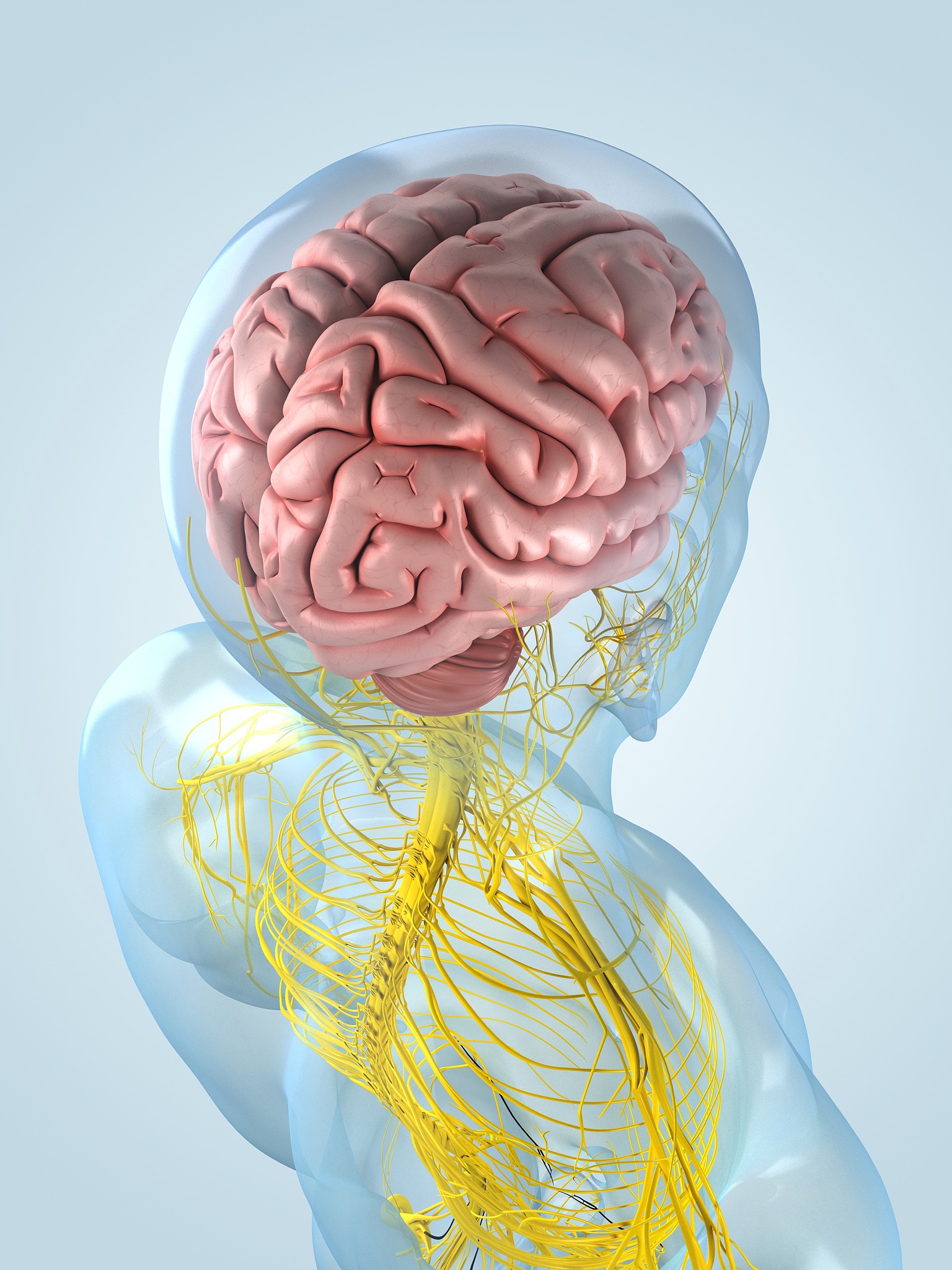 为什么脑海里的声音和自己说话的声音不一样？