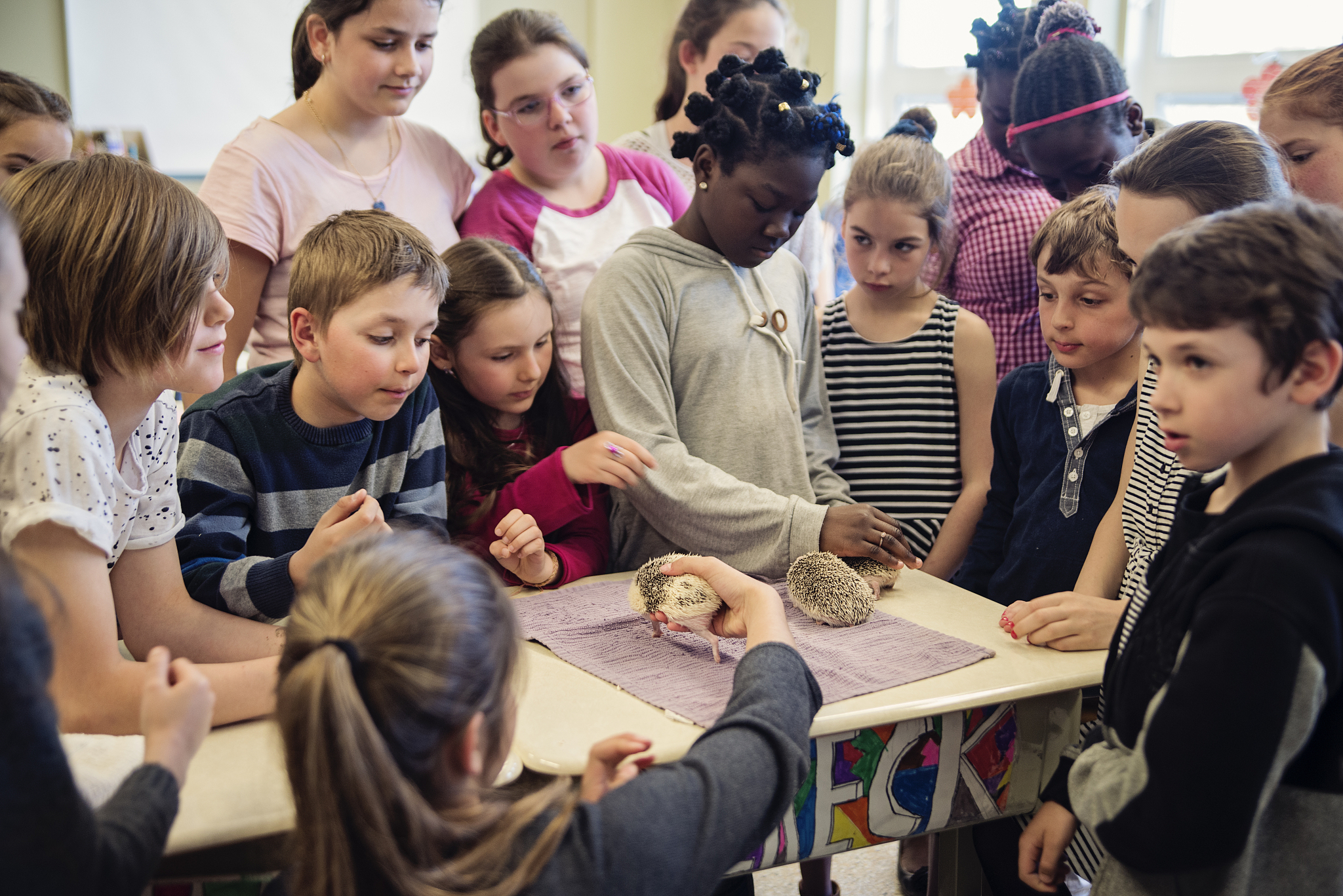 improve the sentence the type is press releaseThe fair will feature 50 booths showcasing impressive STEM projects created by middle and high school students It also hosts events Guests can participate
