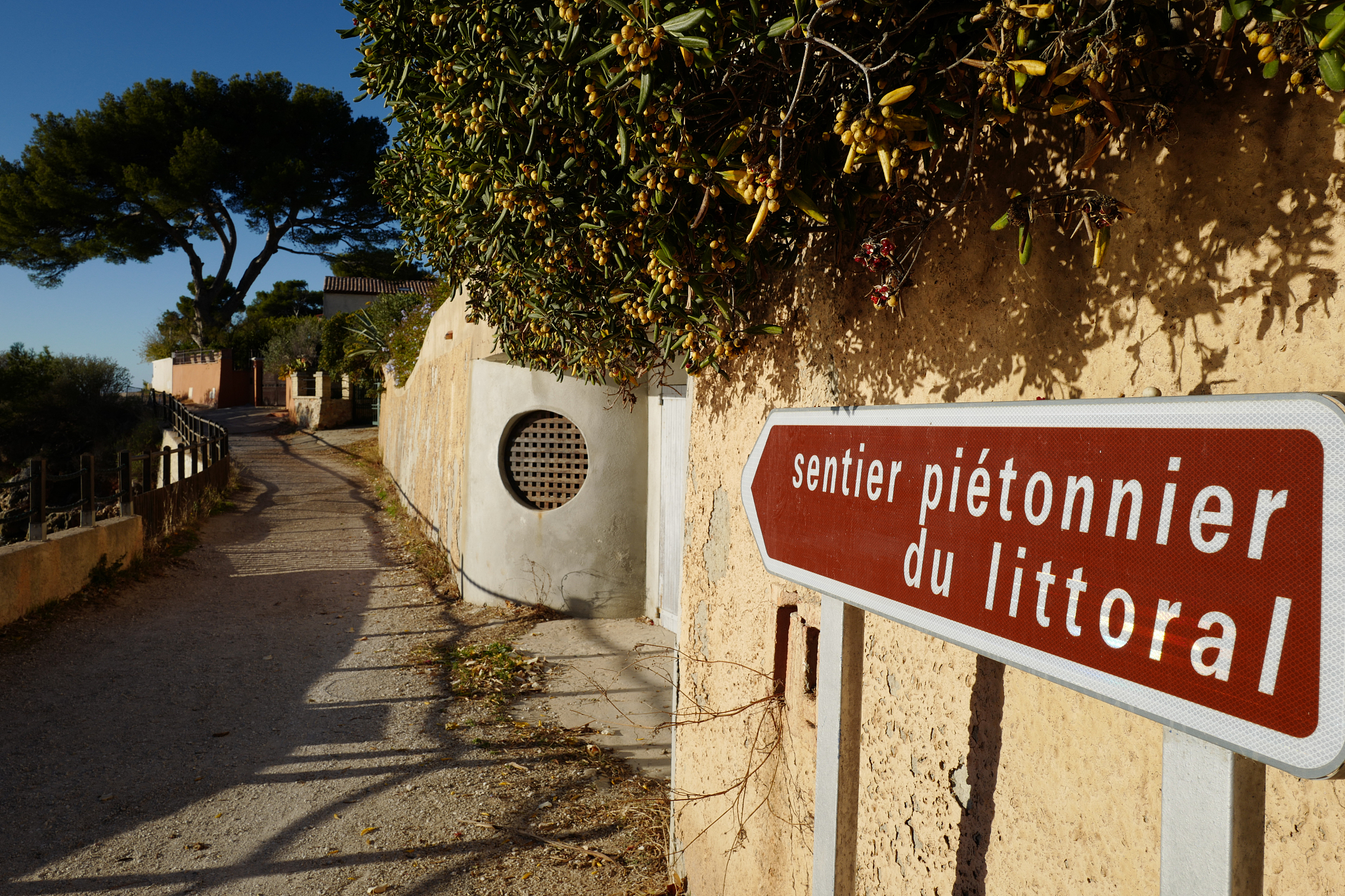 厦门海洋职业技术学院旅游管理专业怎么样都要学些什么