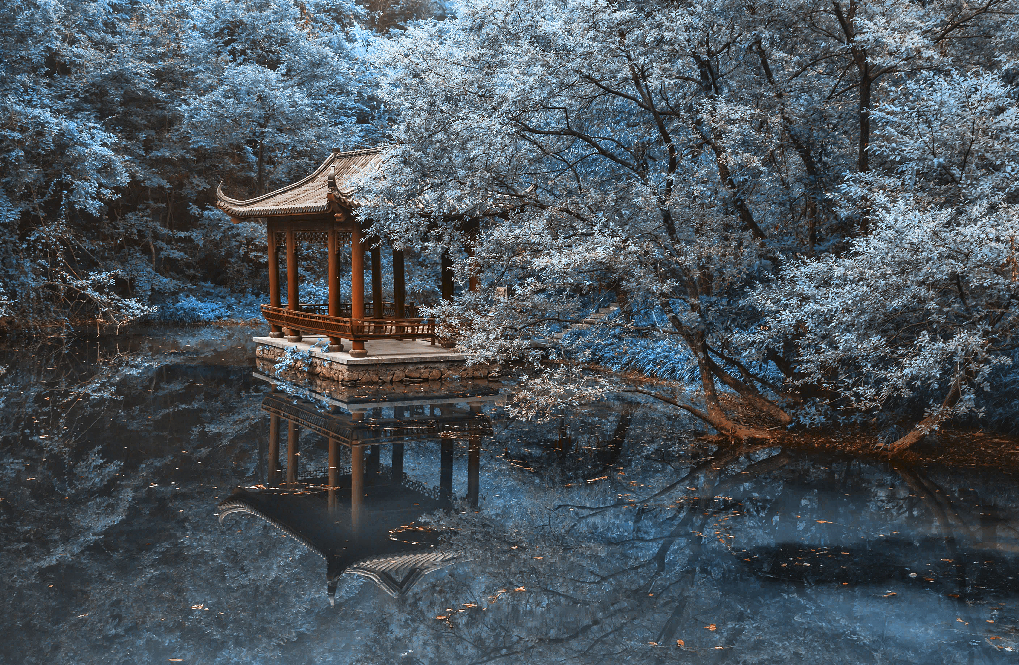 《湖心亭看雪》理解性默写：赏析白居易笔下的雪景与人生感悟