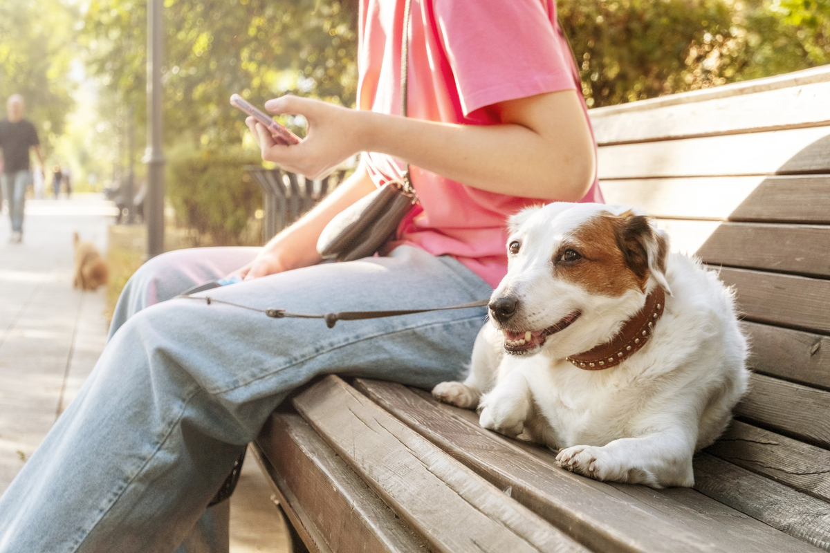 狗：忠诚伙伴，生活良伴 - 了解狗的益处和陪伴