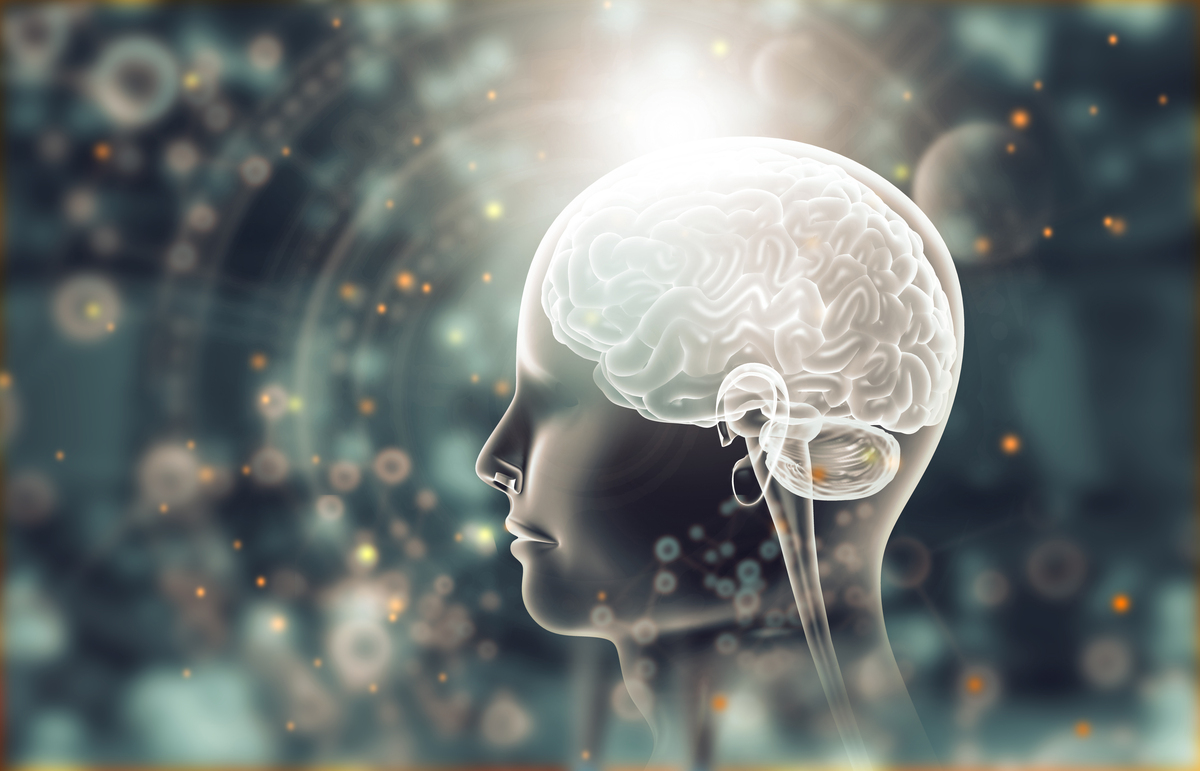 Human Brain Mapping 期刊：涵盖人类大脑结构和功能研究的国际期刊