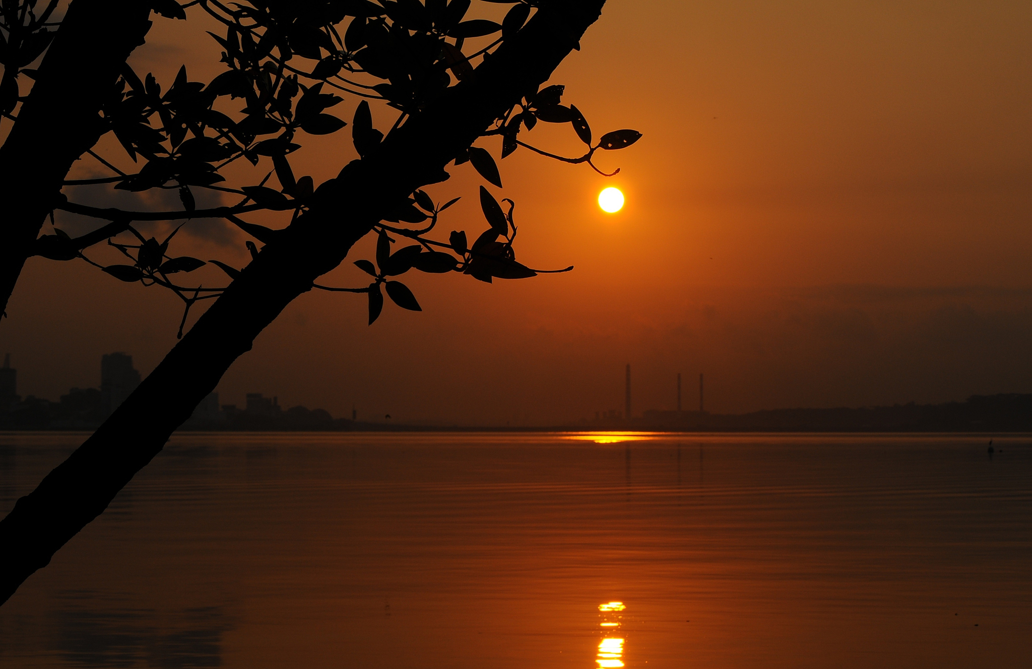 中秋国庆后，同学们用飞盘放松身心，Orange Sea极限飞盘社活动火爆！