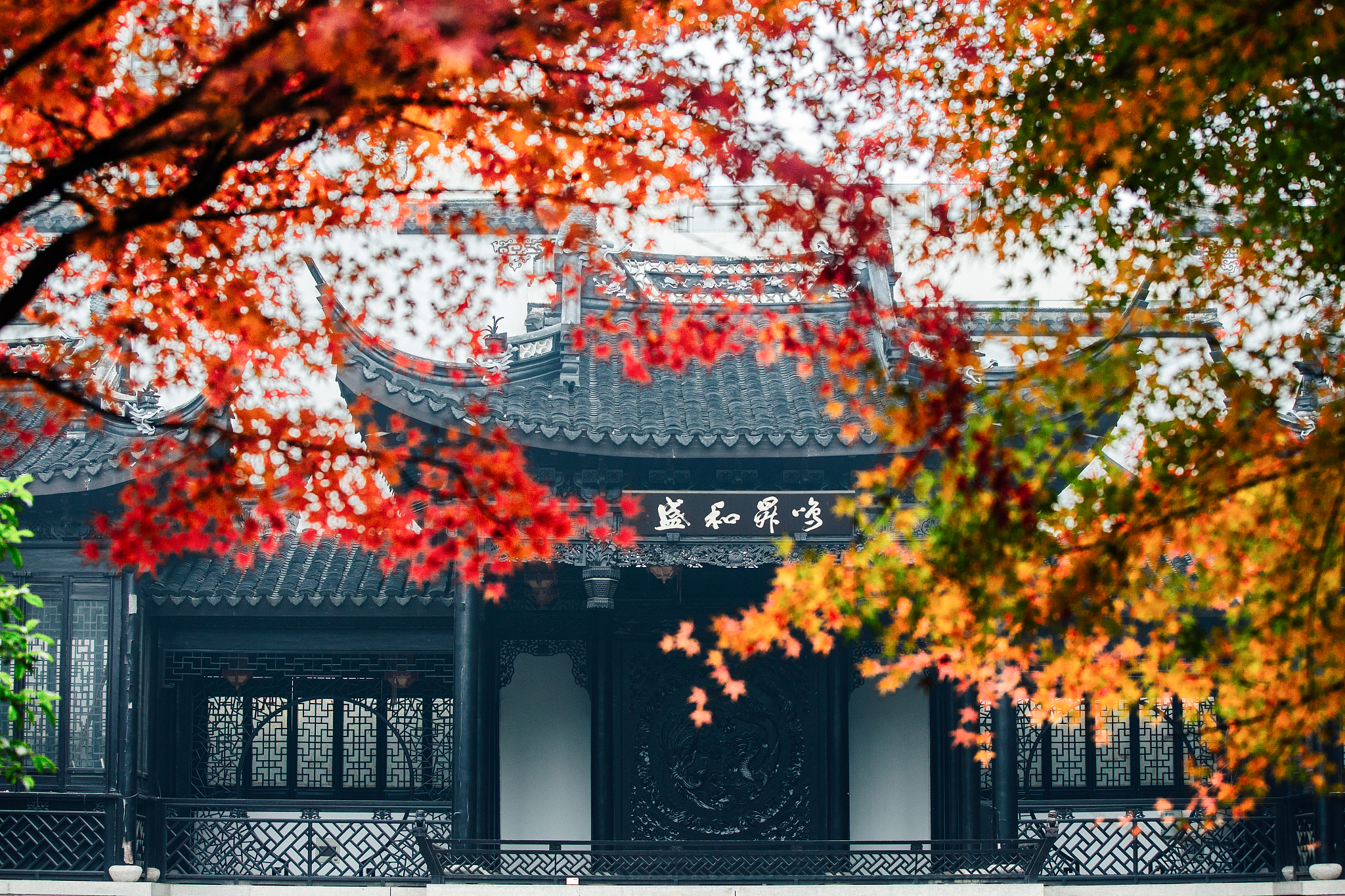 秋季去武夷山旅游：最佳时间、景点推荐、体验建议