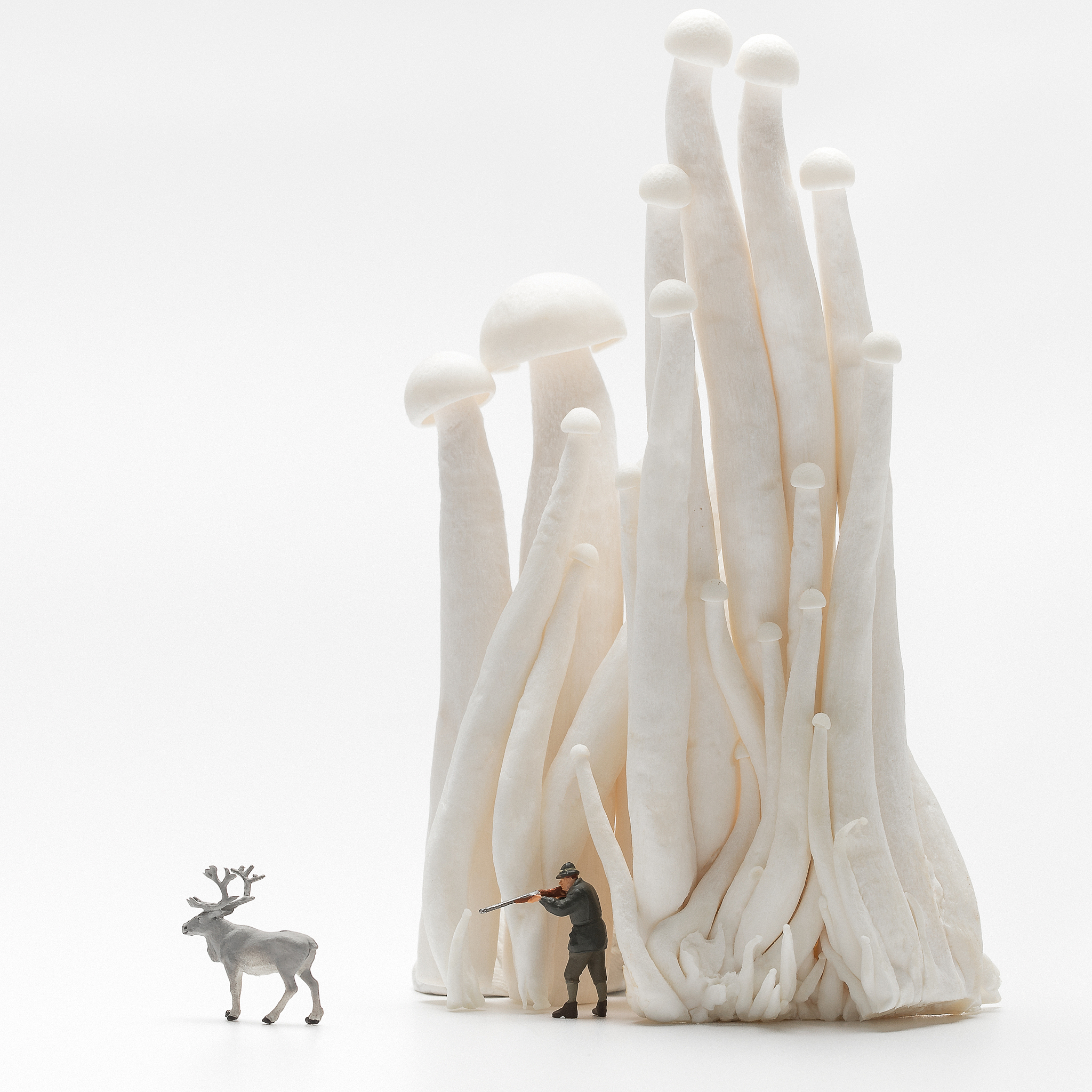 しかしそれは茸の価値が彼の体験でないという意味ではない。教え込まれた茸の価値はいわば彼に探求の目標を与えたのであった。すなわち彼を茸狩りに発足せしめたのであった。それから先の茸との交渉は厳密に彼自身の体験である。茸狩りを始めた子供にとっては、彼の目ざす茸がどれほどの使用価値や交換価値を持つかは、全然問題でない。彼にはただ「探求に価する物」が与えられた。そうして子供は一切を忘れて、この探求に自己を没