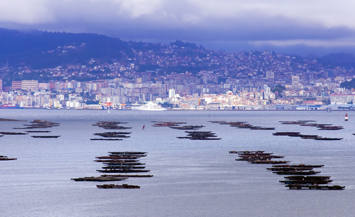 农村土地确权为什么不按实际面积？帮我用180字详细描述