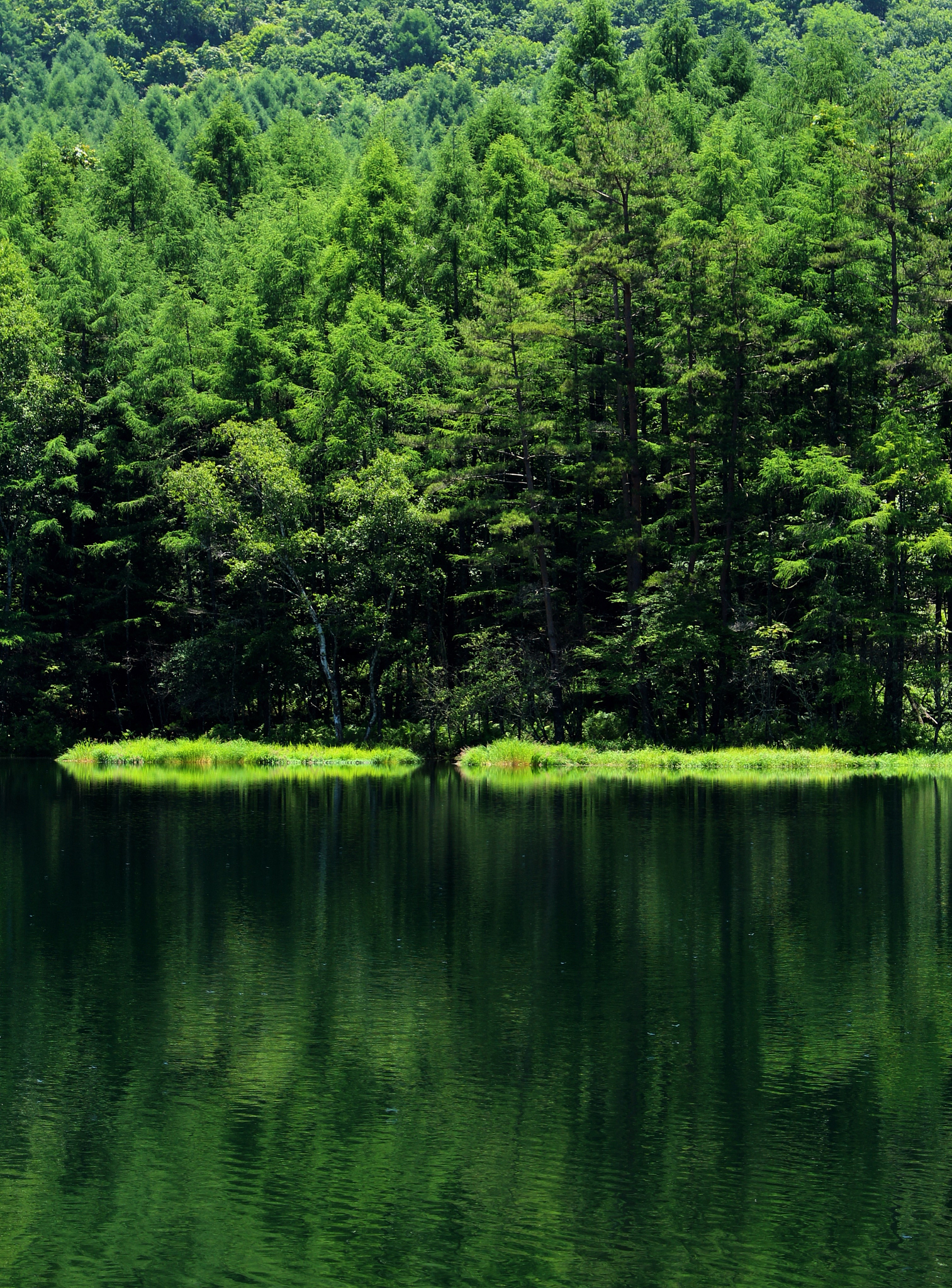 蟠青丛翠是什么意思_词语蟠青丛翠的意思