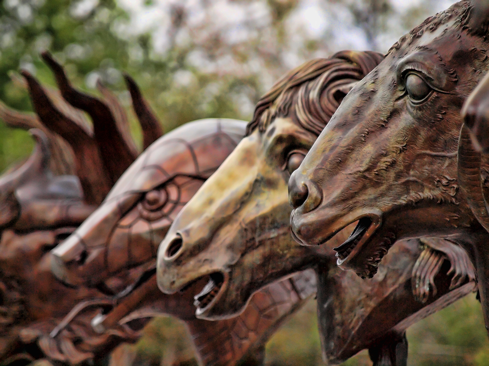 the chinese zodiac