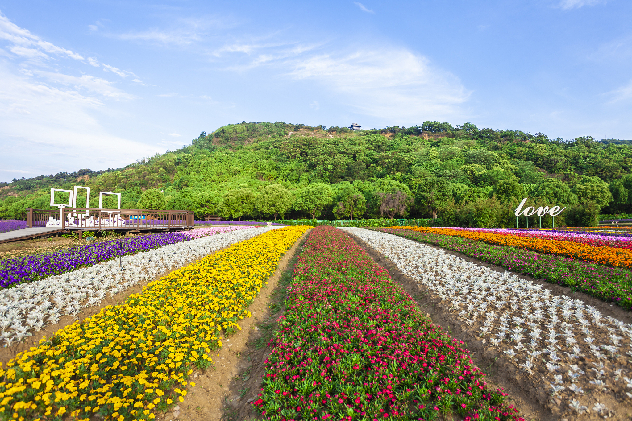 现在三月春天余姚什么地方赏花一日游好