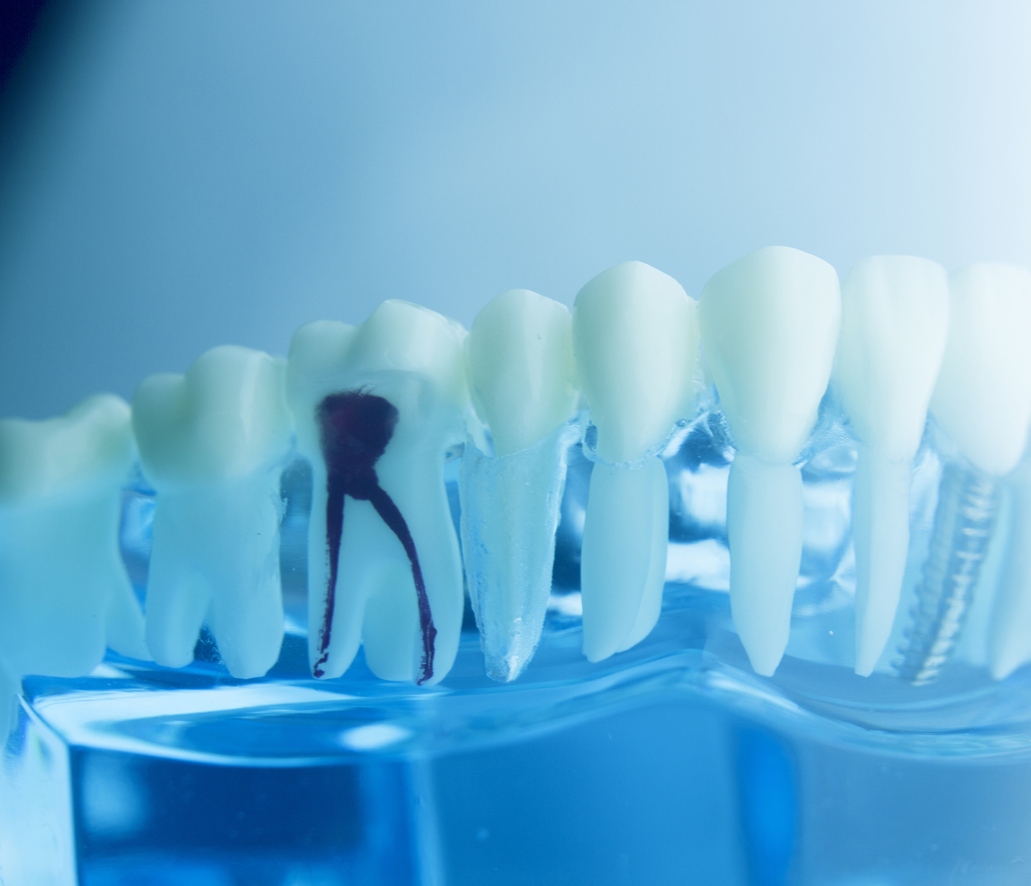 辽宁医学院医疗学院新增专业介绍及学生评价