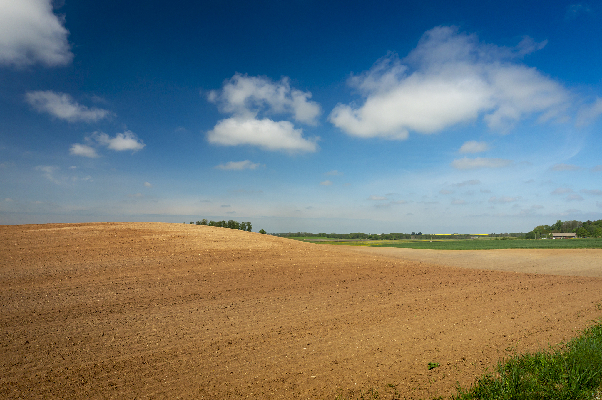 rolling hills, farm field and dandelions in meadow