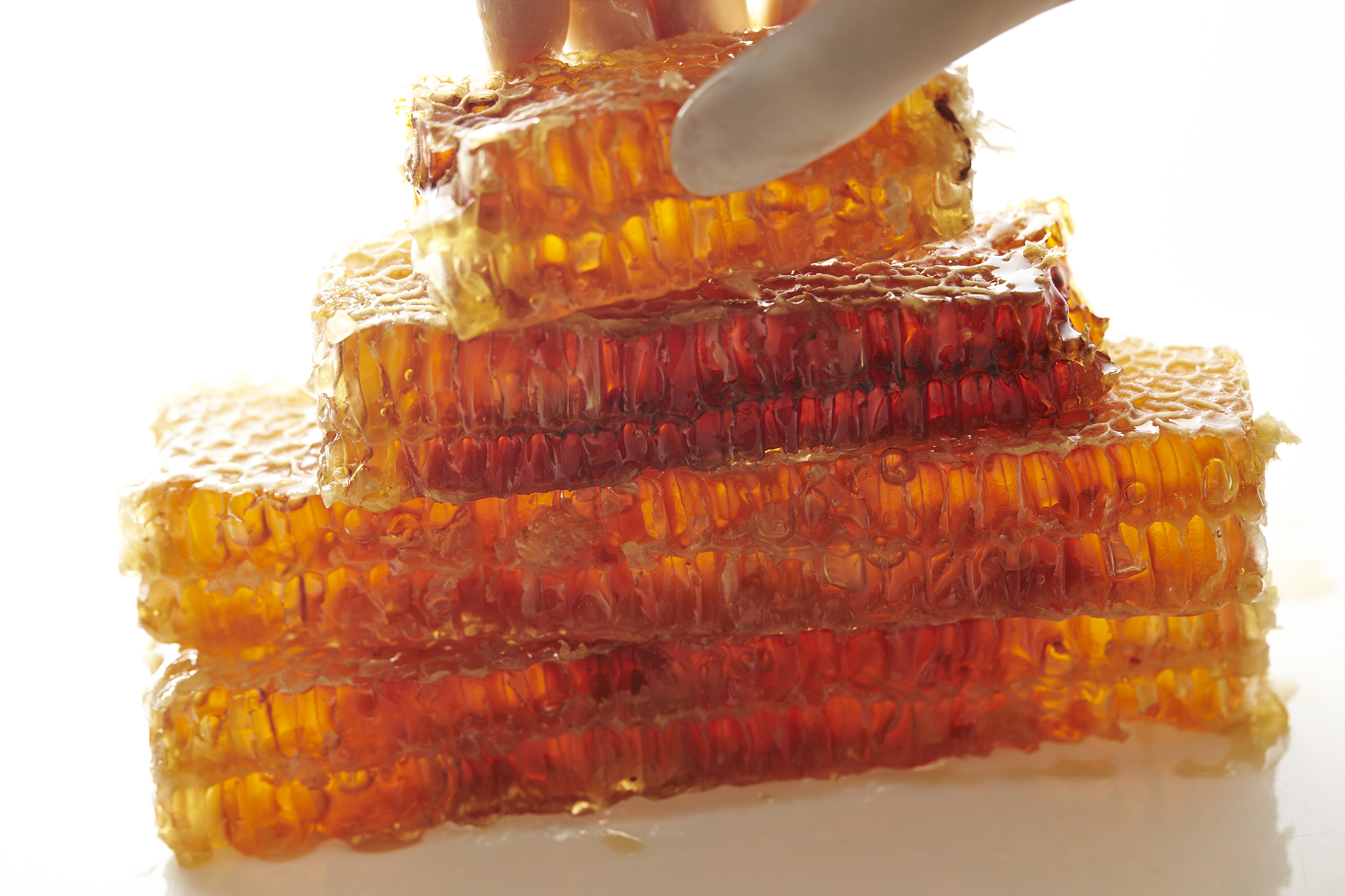 成都铁路卫生学校招生办联系电话 - 报名咨询电话