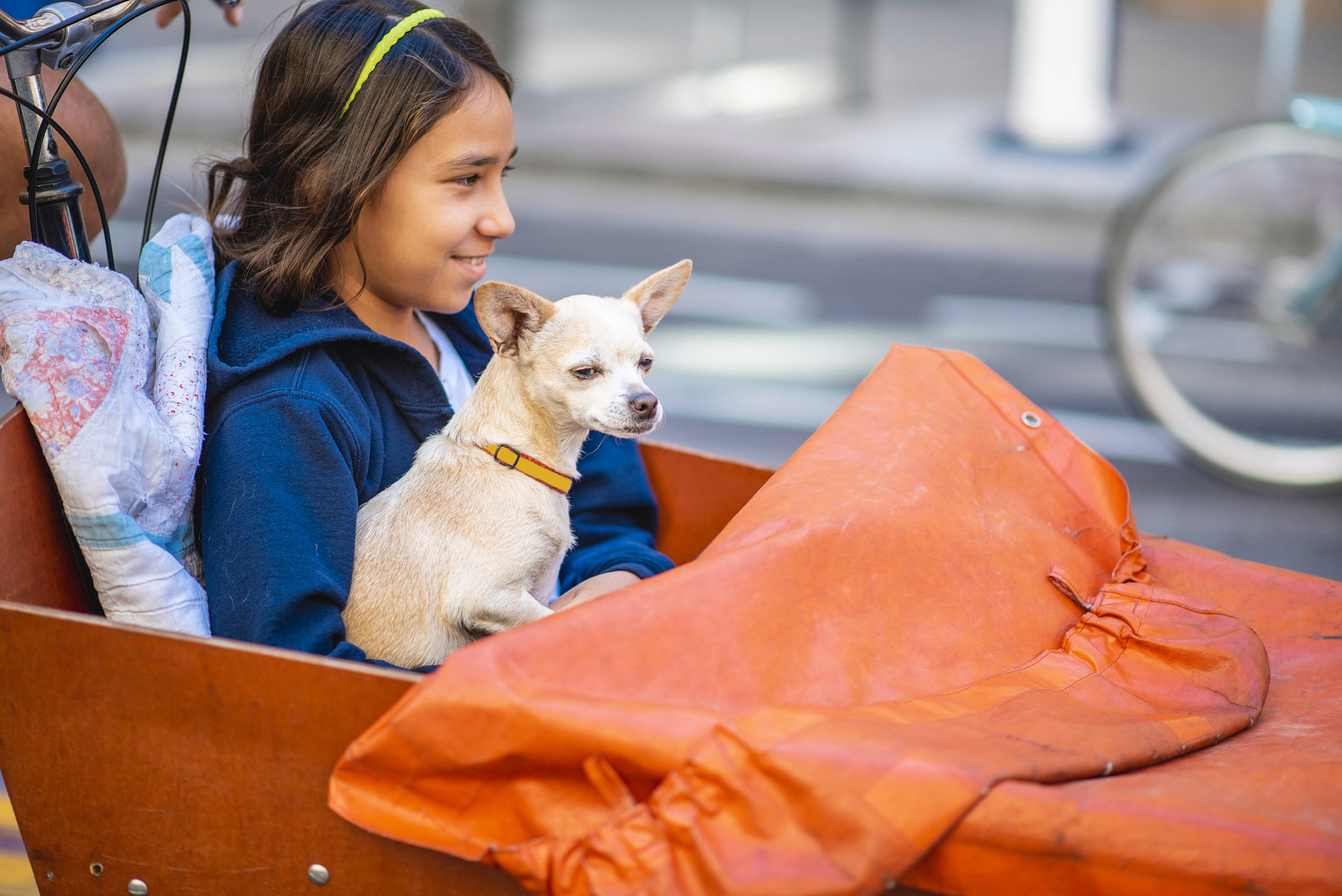 成都上中专学校：学习与发展指南