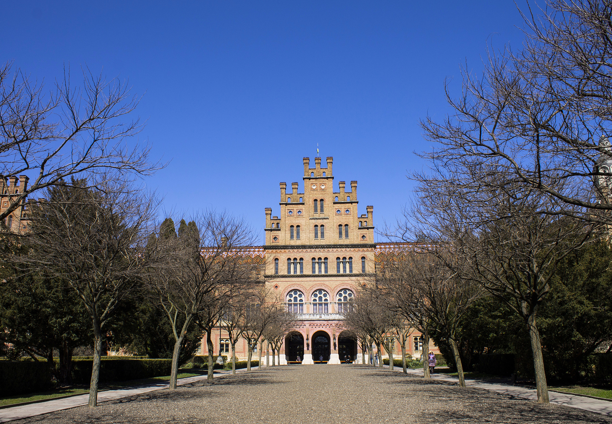 road to the chernivtsi university