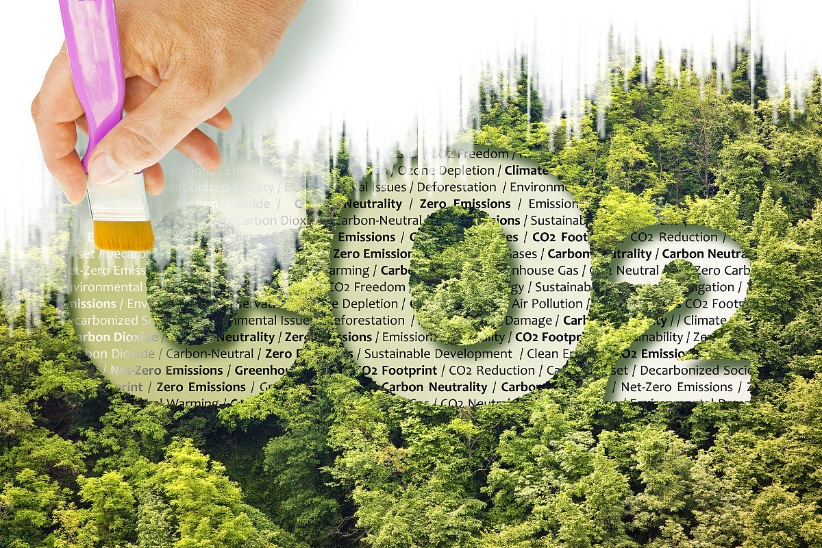 碳的化学性质：活性与稳定性的探讨