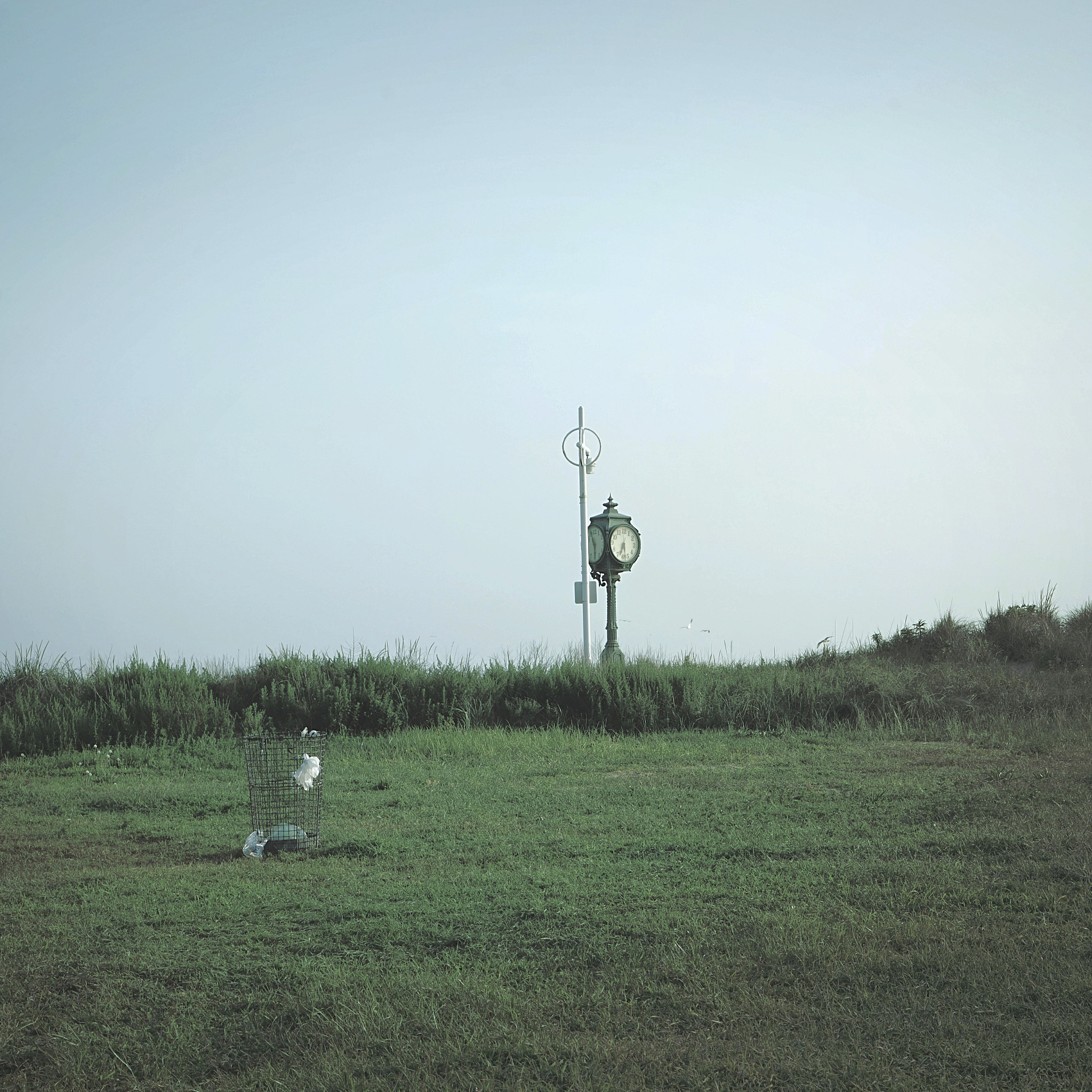 scenic view of field against clear sky