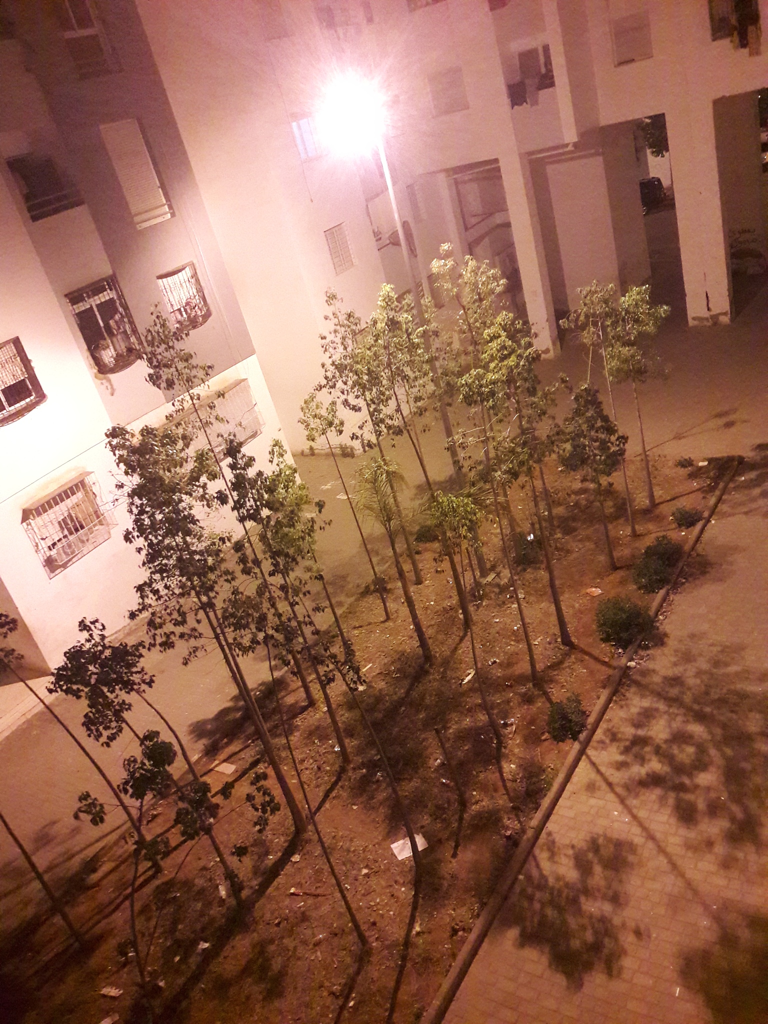 以摄影师的角度写一篇1200字拍好的照片一定要精修吗？的文章