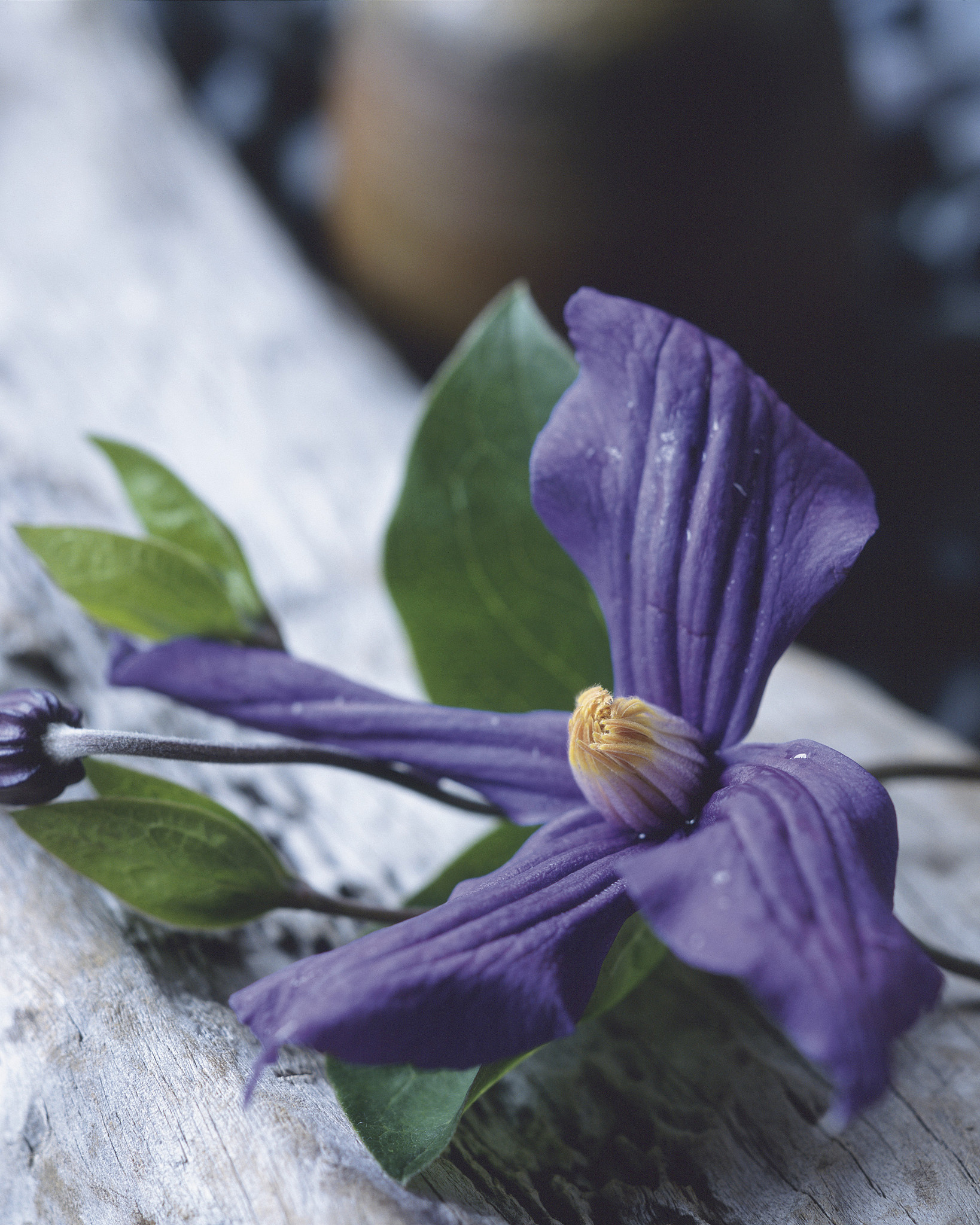 The Art of Flower Arrangement and Its Deep Connection to Chinese Philosophy