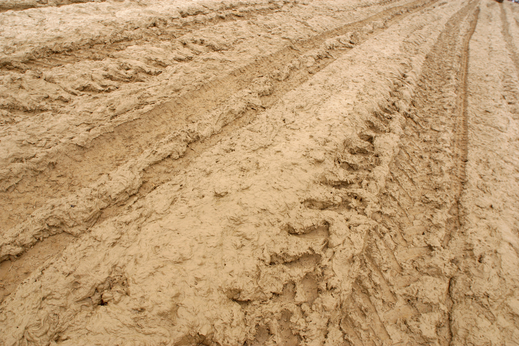 close-up of muddy surface