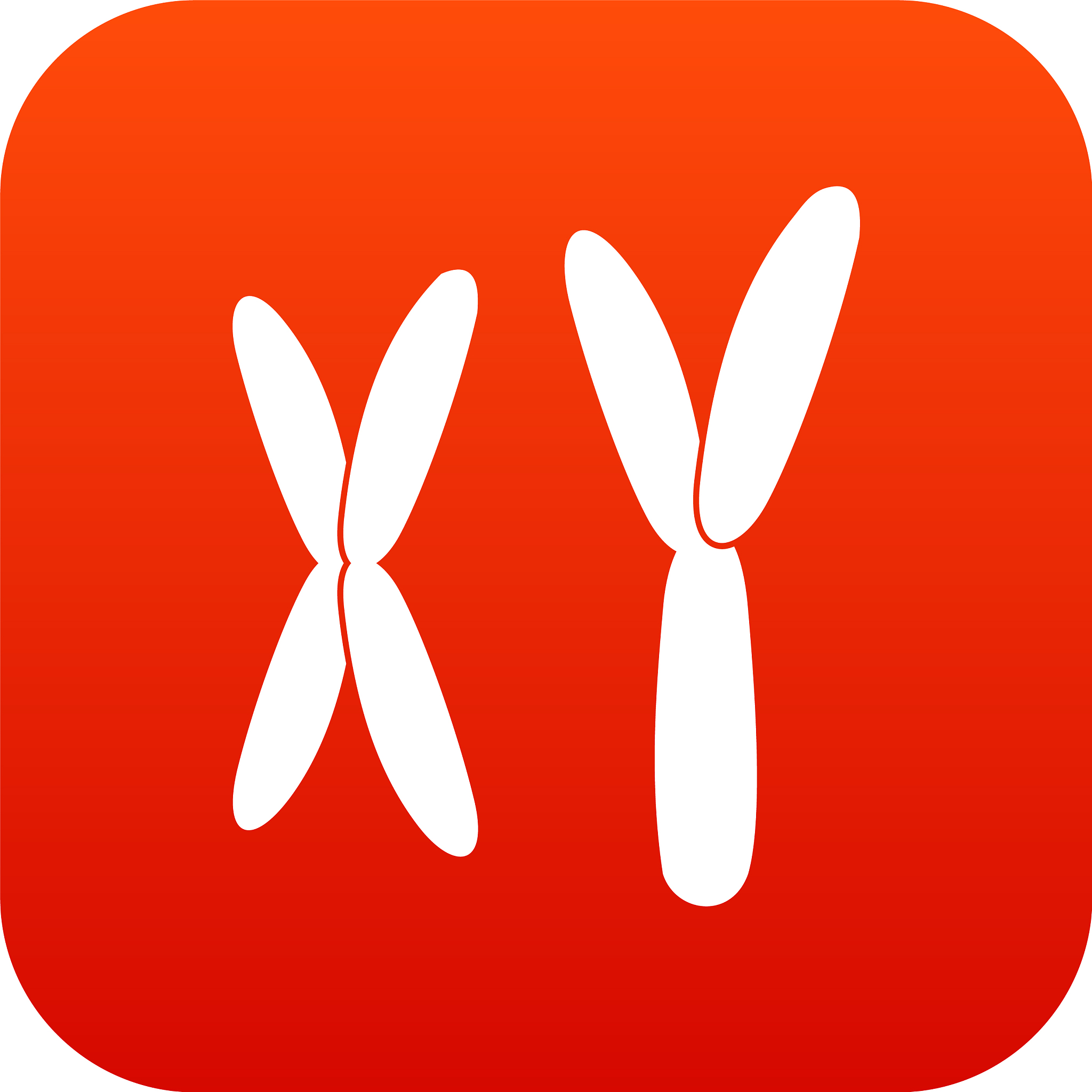 human chromosomes icon digital red