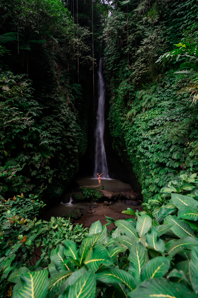 世界各国历史：30个国家，从古代到现代的文明之旅