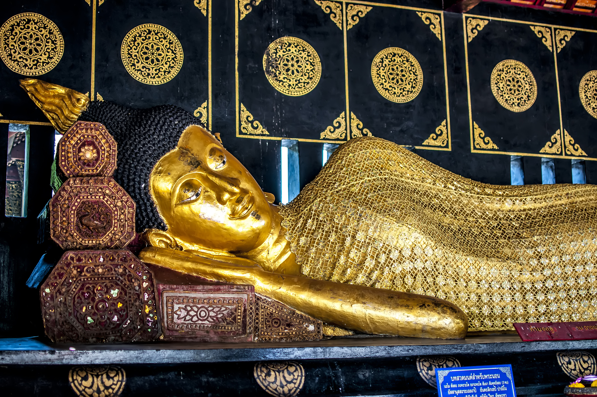 修仙之路：从入门到精通