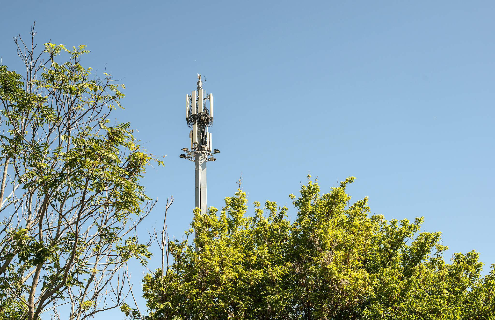 5g antenna outside the city. gsm antenna in the nature.