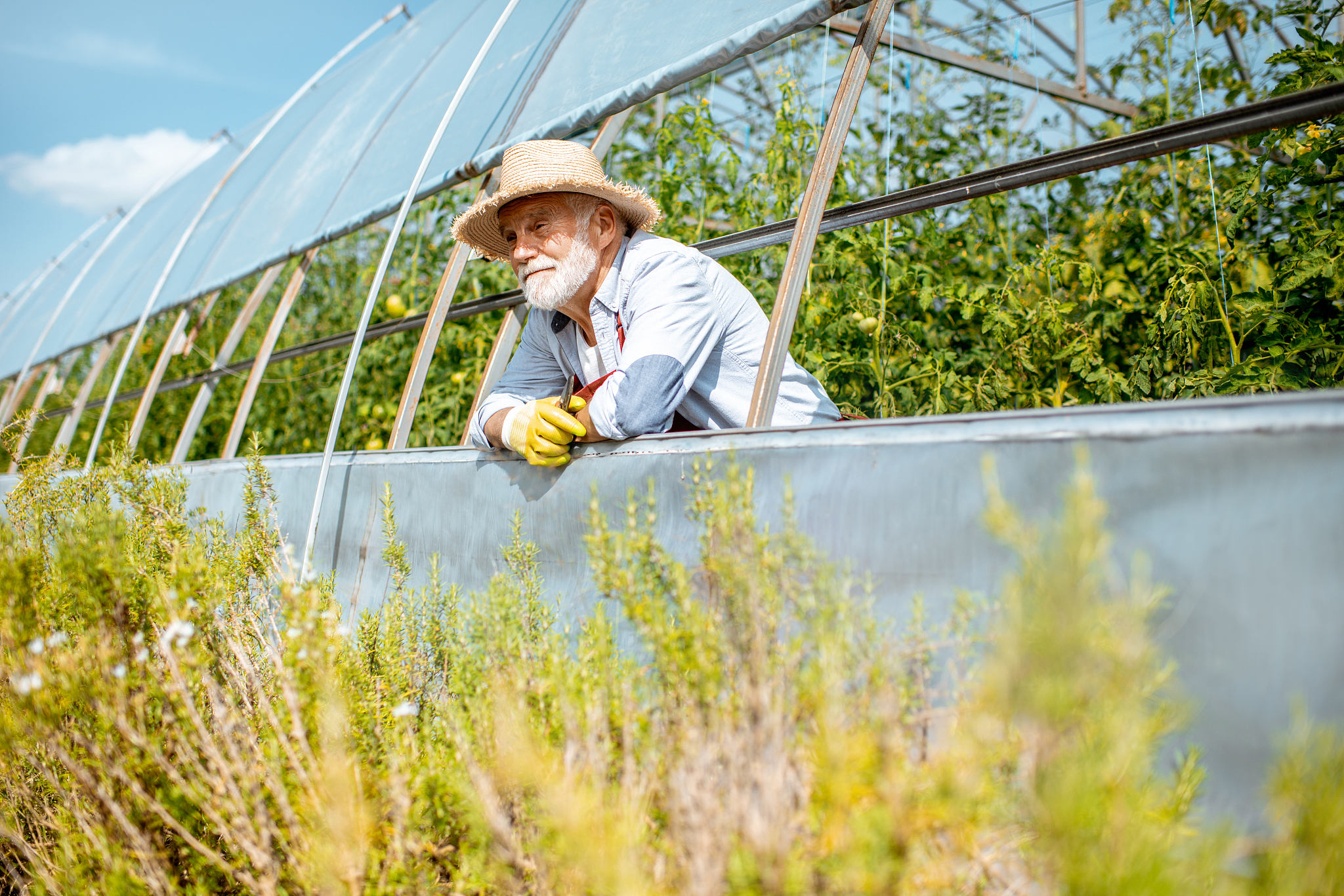 南阳农业学校热门专业有哪些