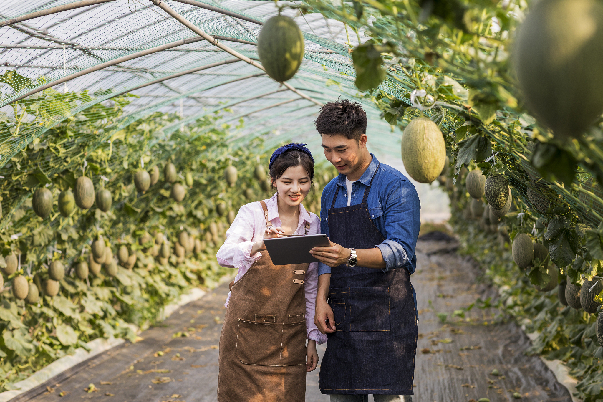 黑龙江农业职业技术学院电子商务专业如何好学吗