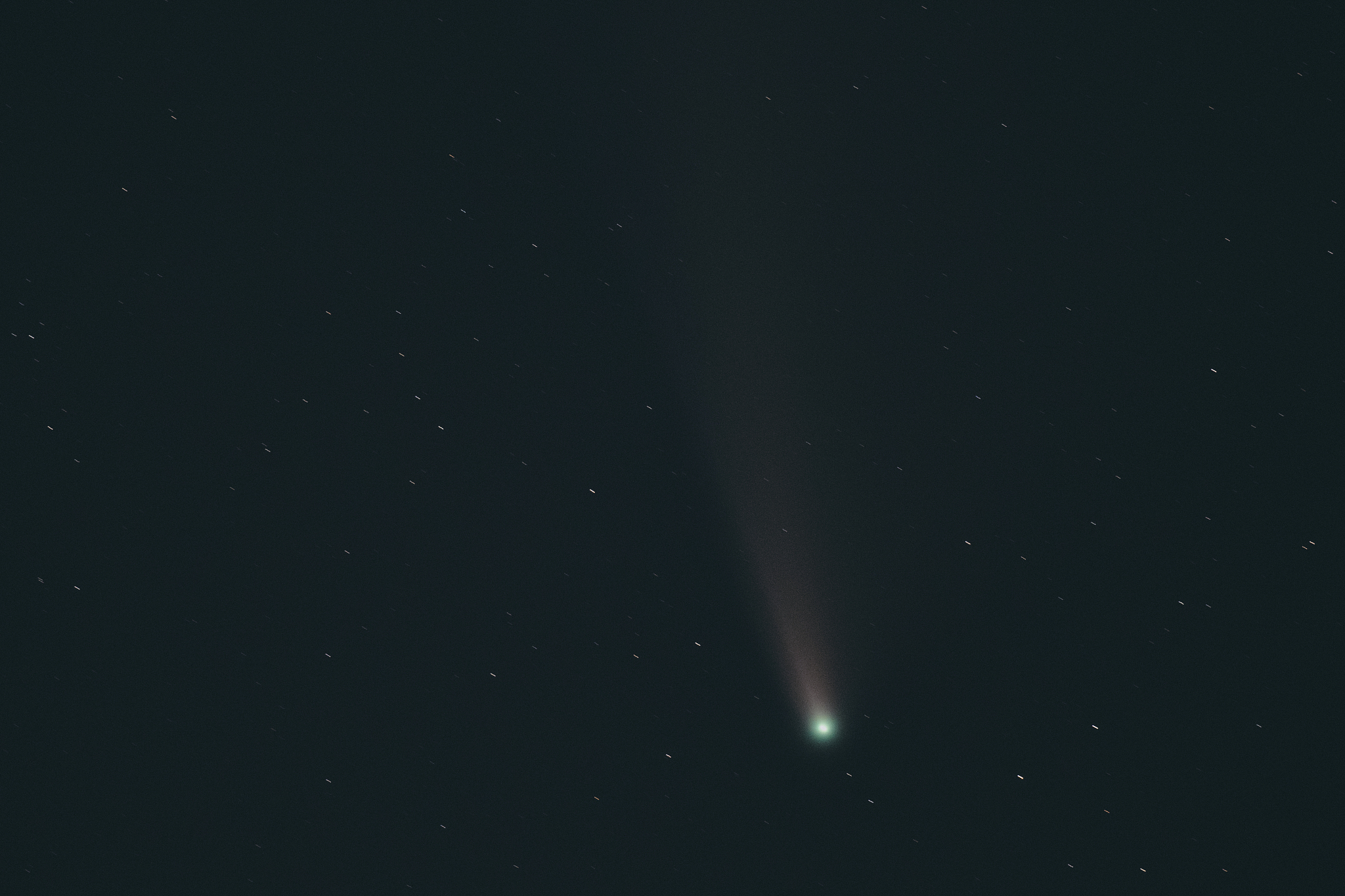 comet neowise in the dark night sky