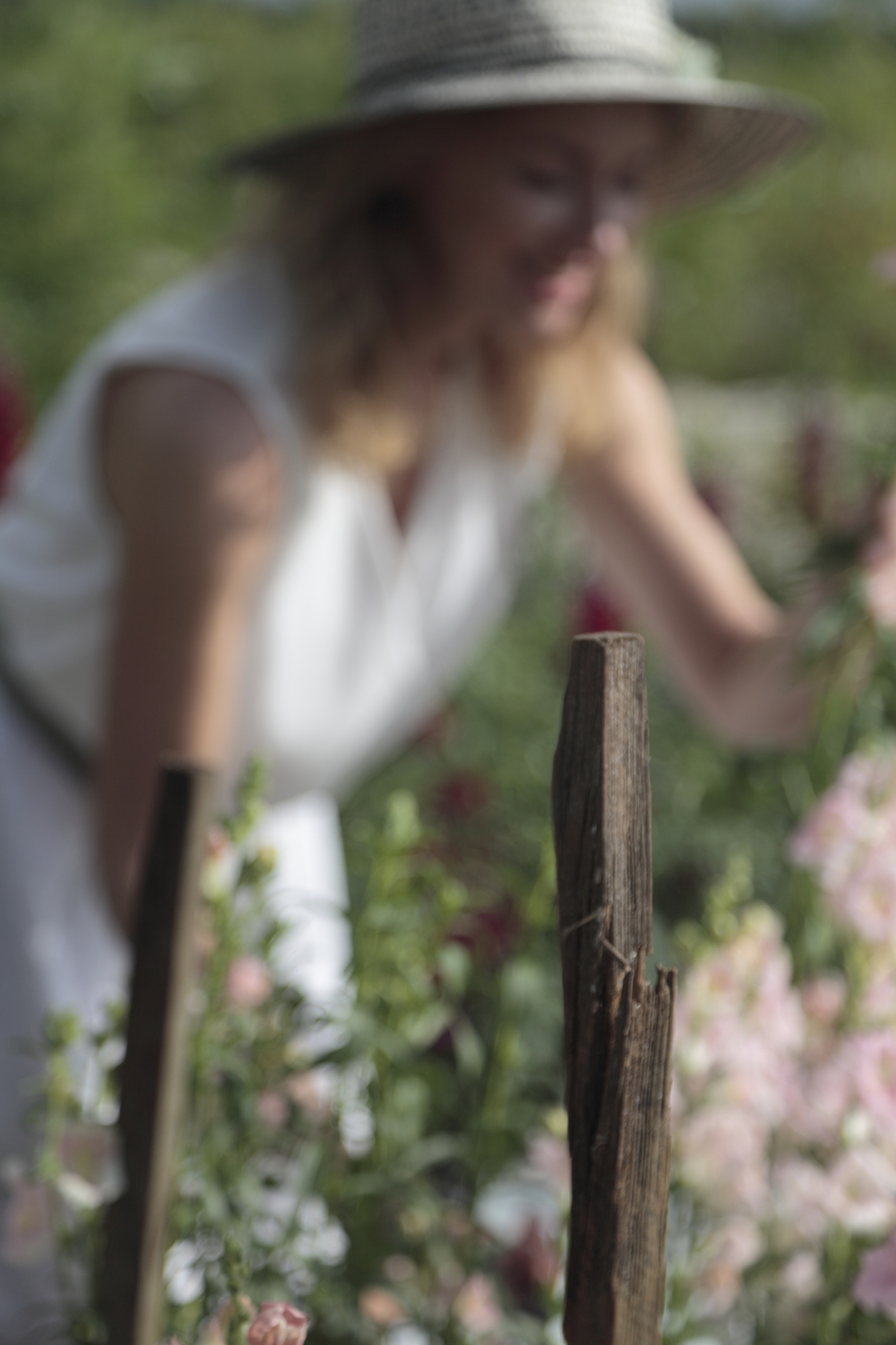 young woman picking flowers at a farm.