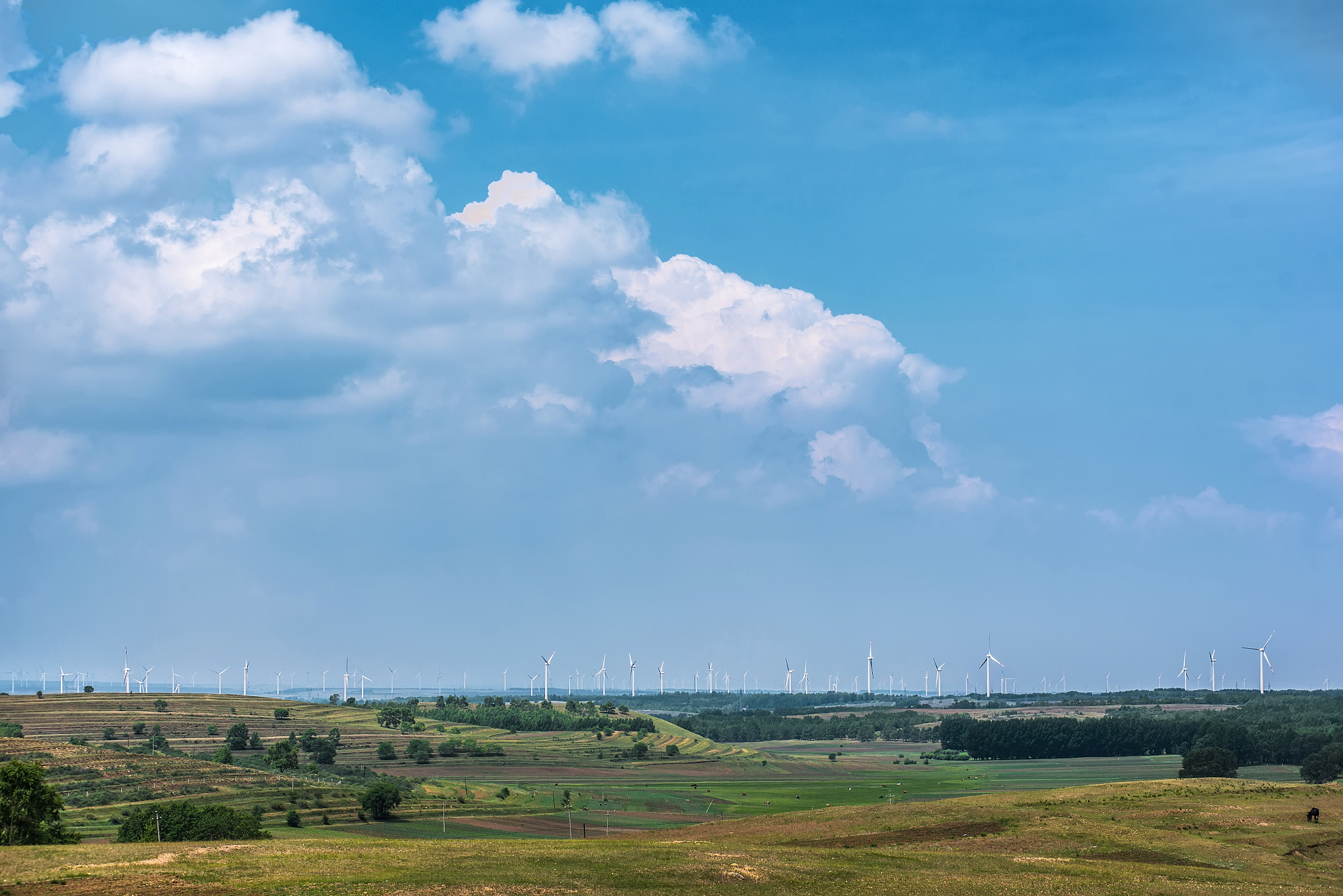 2023年唐山市有哪些3+2大专学校？