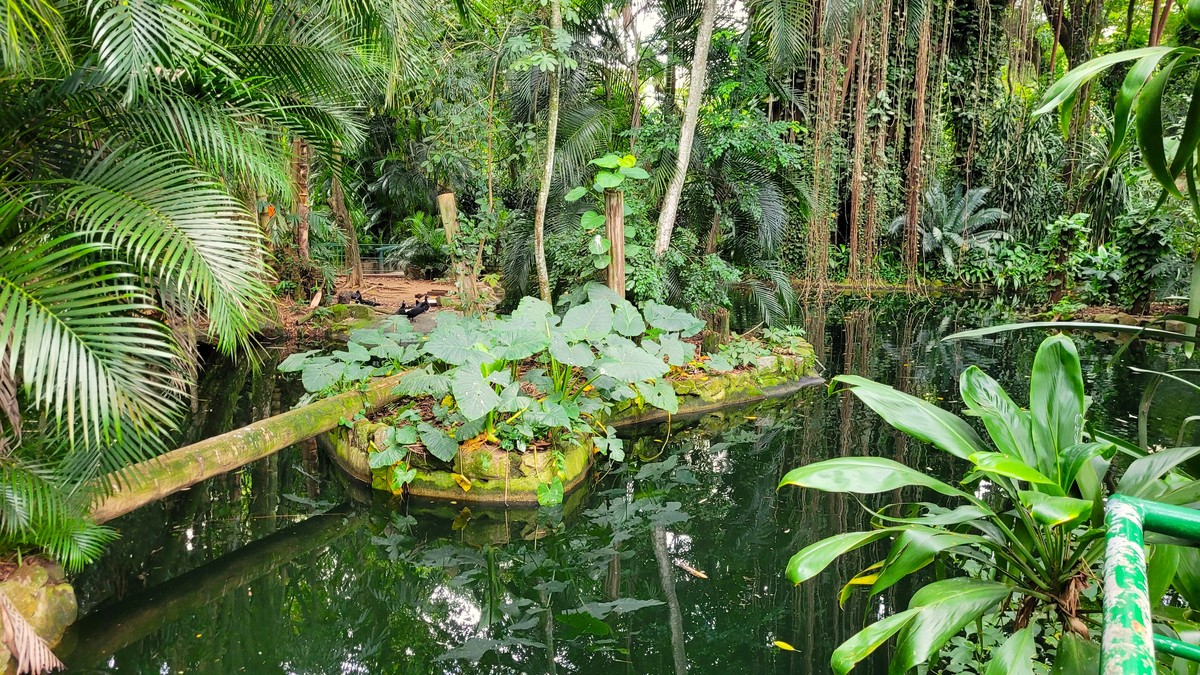 为百度百科在西双版纳植物园做的科普活动撰写一段项目背景100字内
