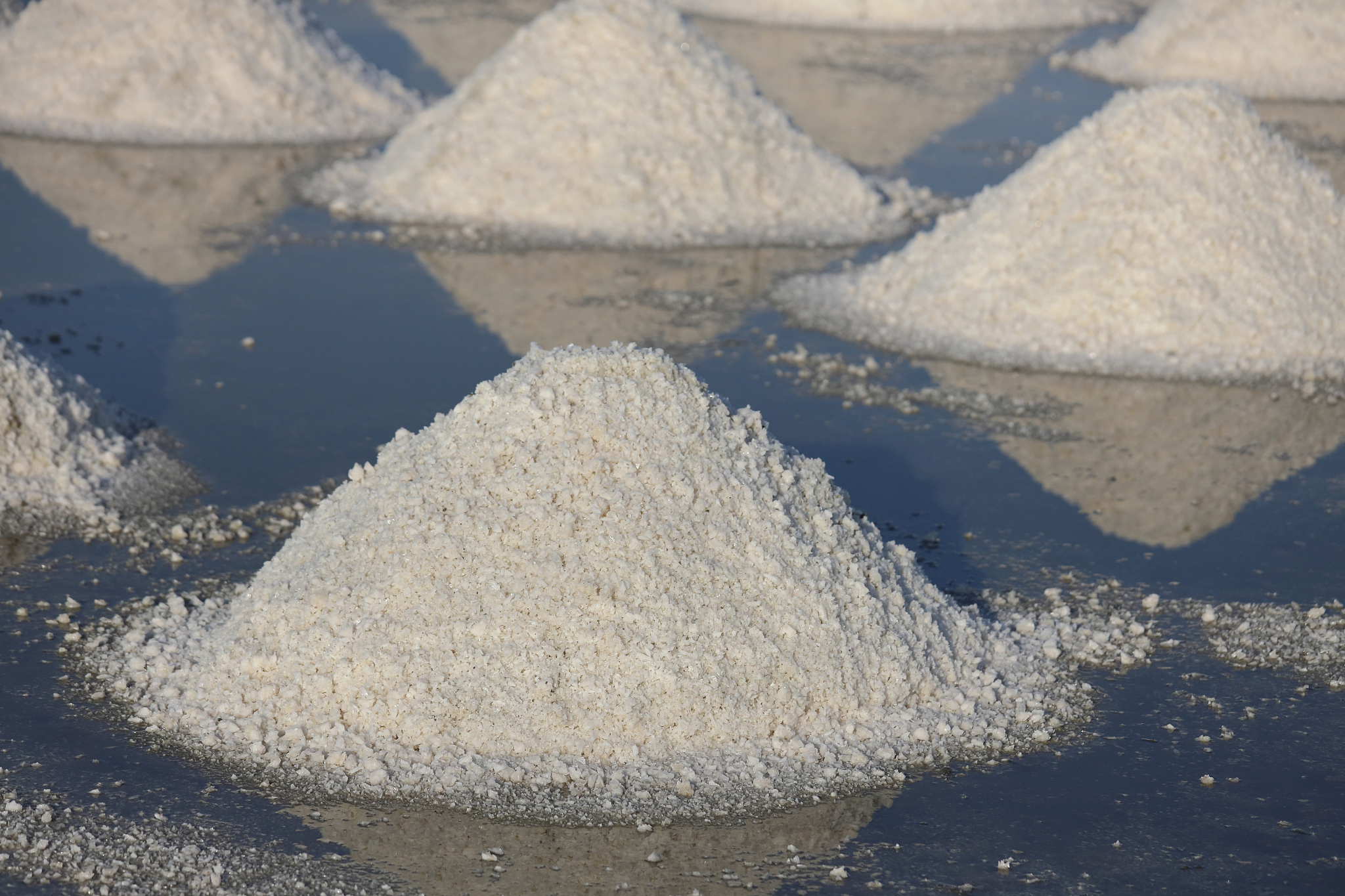 sea salt in salt farm