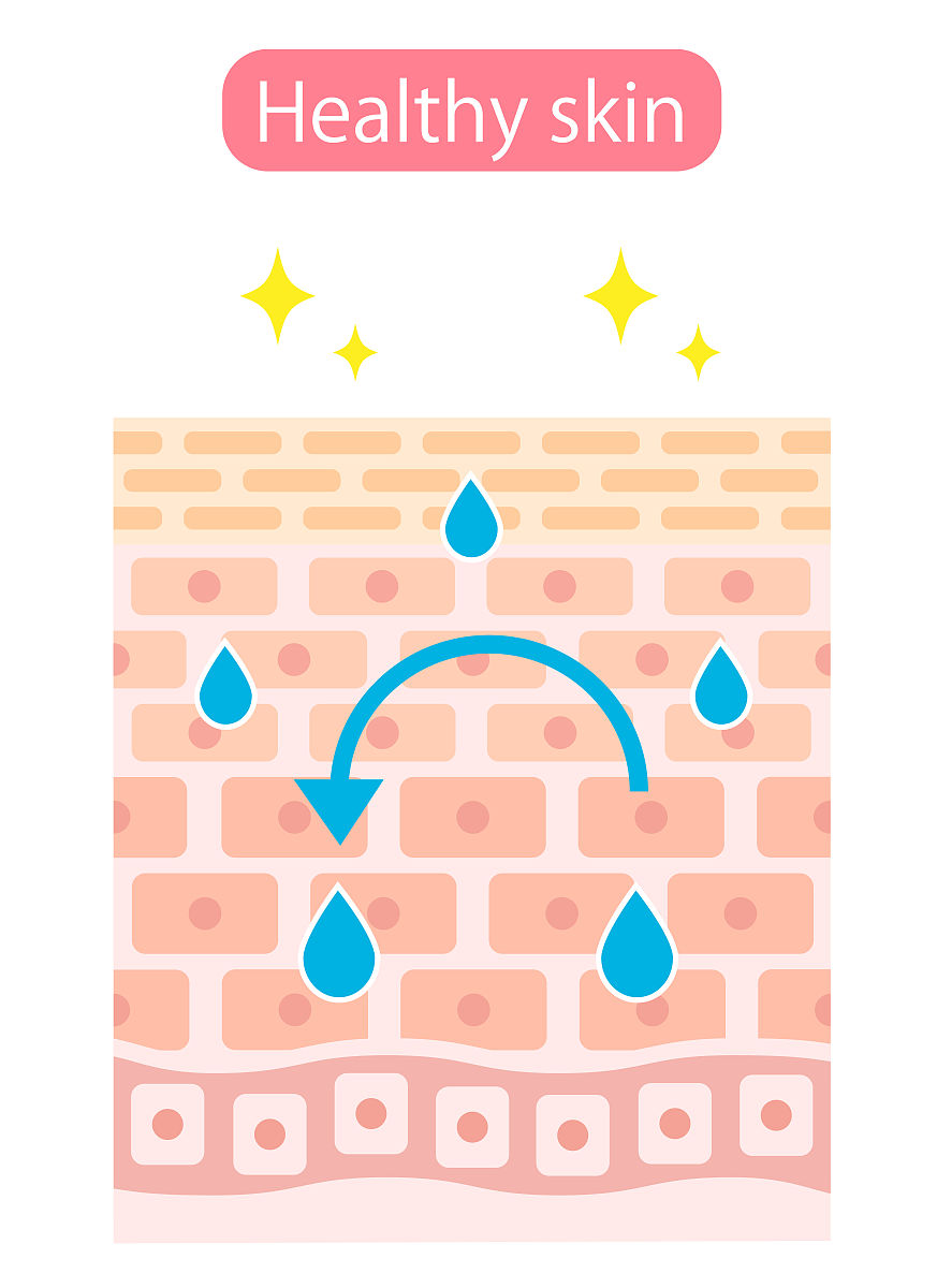 手掌结构详解：表皮、真皮、皮下组织各层特点