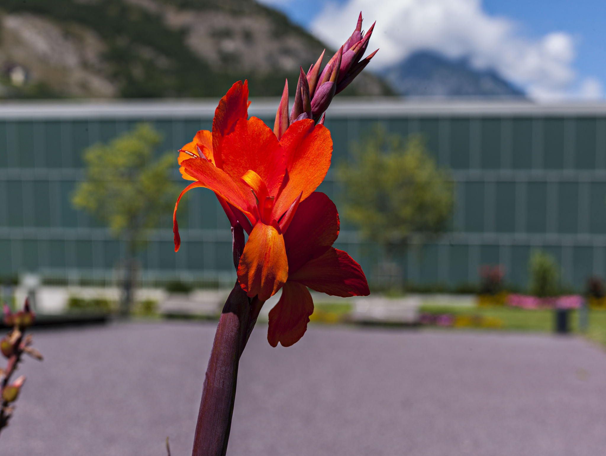 贵州省体育运动学校2021年招生专业介绍